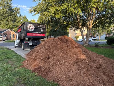 Project in Charlotte