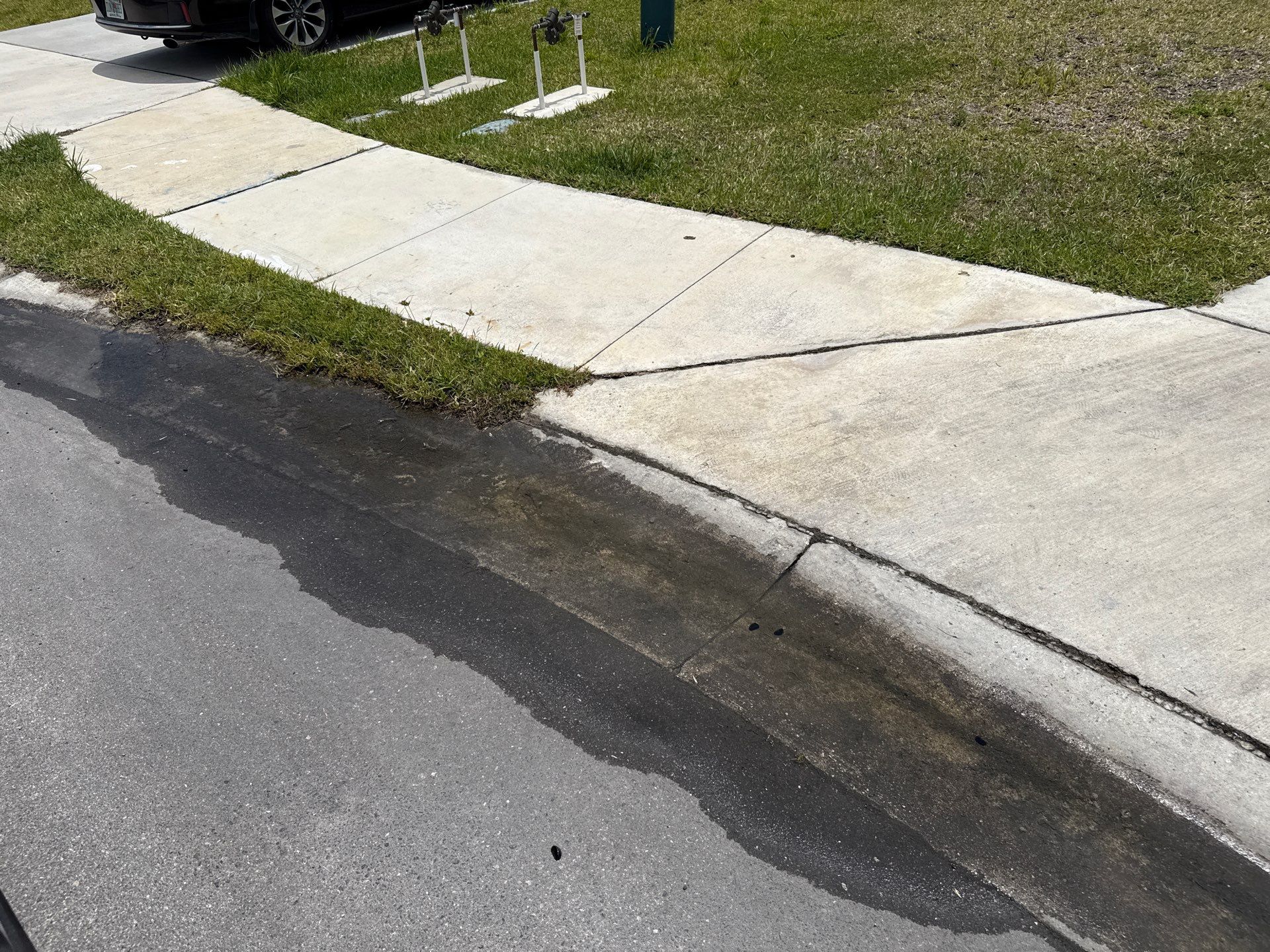 Full Exterior Concrete and Detail Cleaning – Silverstone North, Palmetto, FL by Sunshine AquaWash