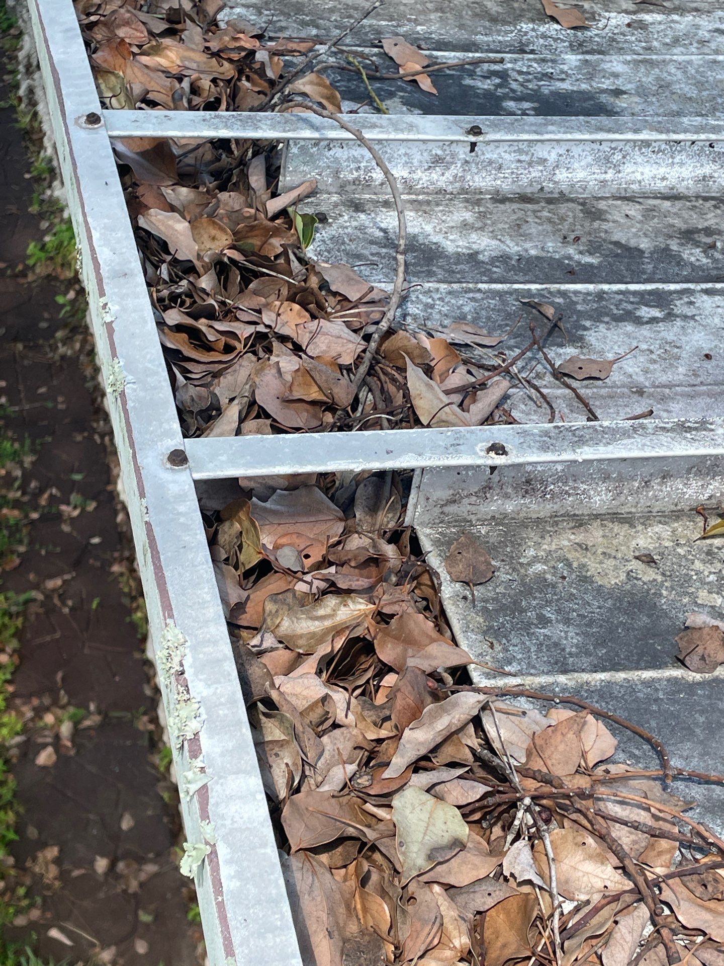 Gutter Cleaning in Brandon FL by Gutter Professors