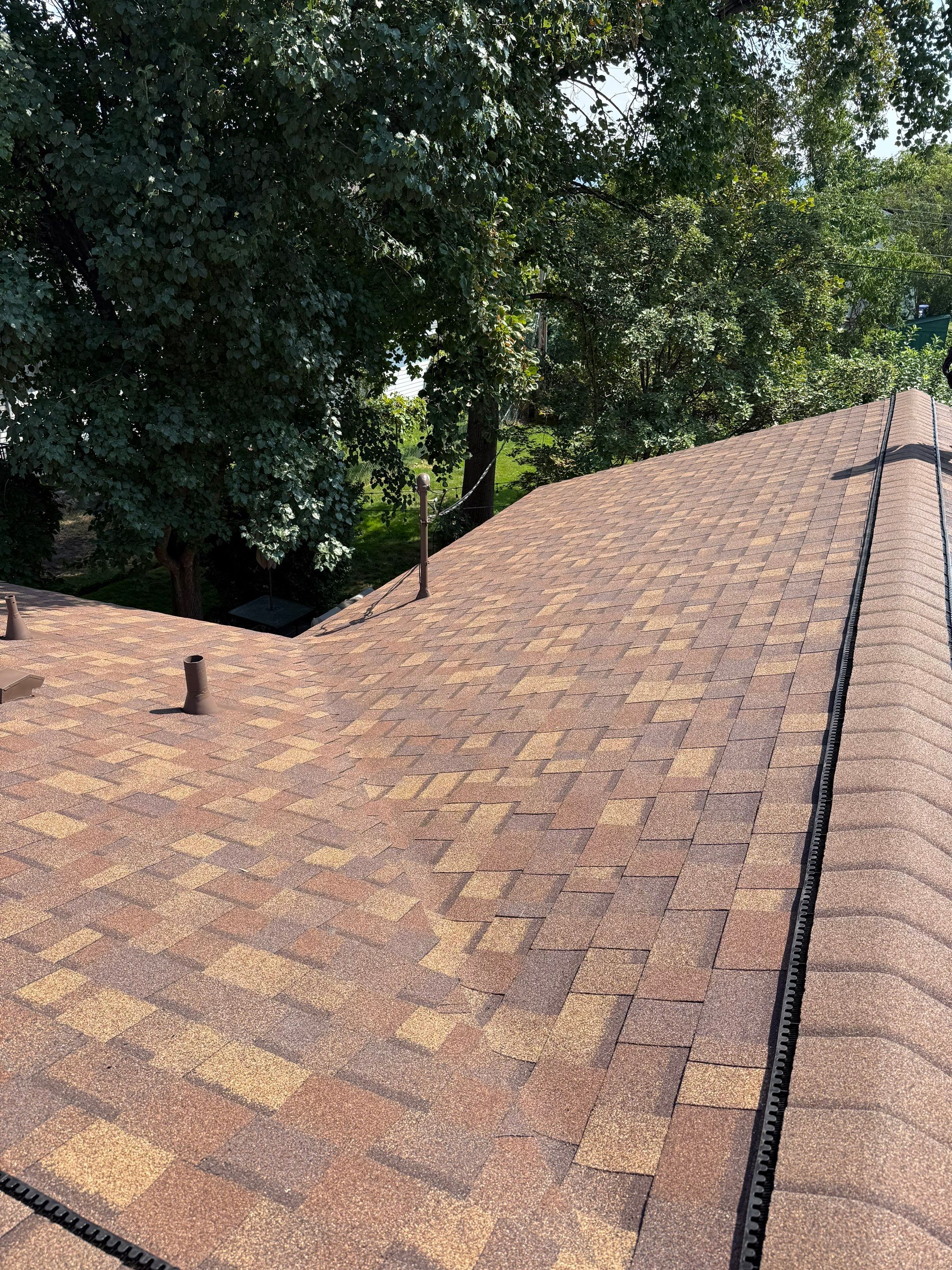 Roofing by Go Pro Roofing