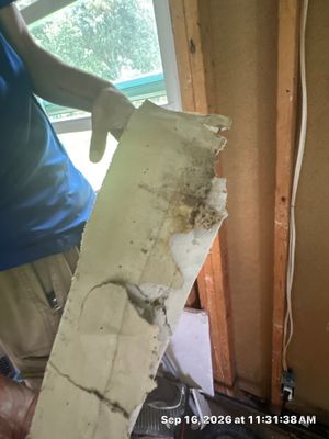 Water Damage Restoration — Fort Myers, FL