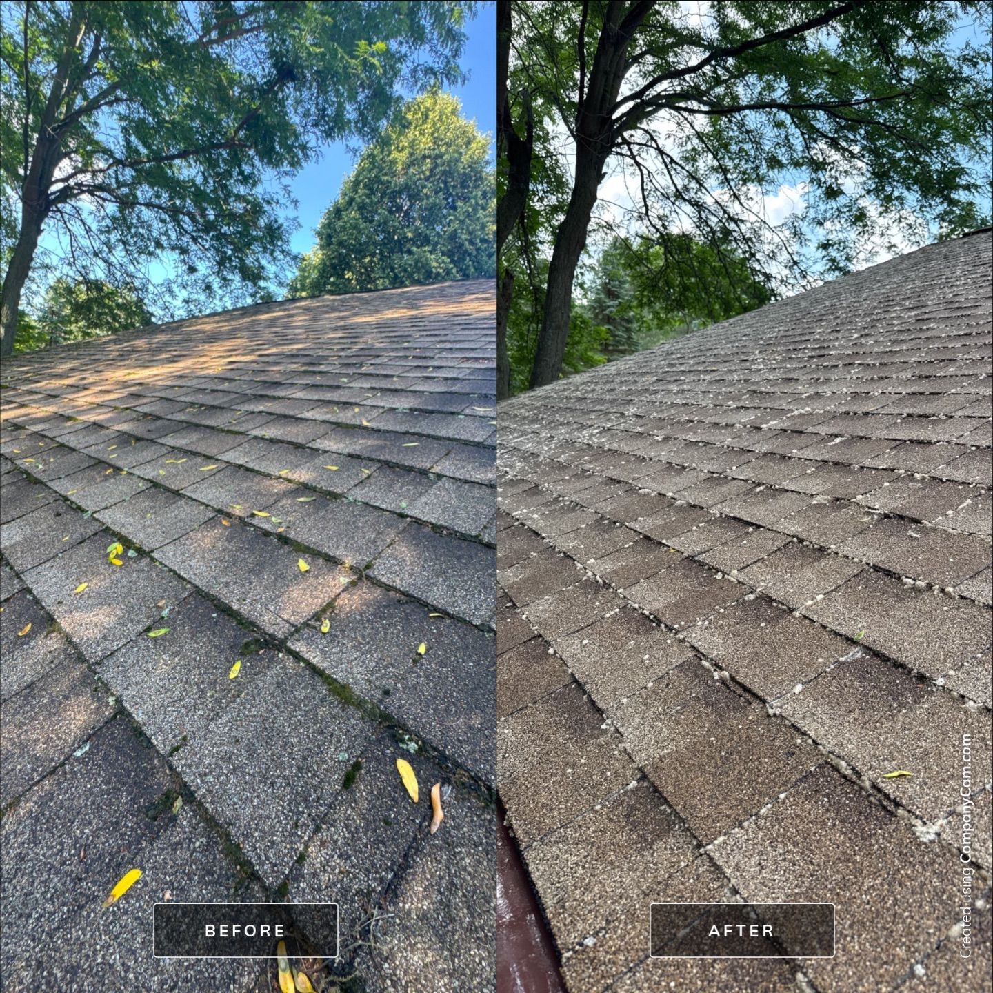 Project in Richmond by Simmons Power & Soft Washing