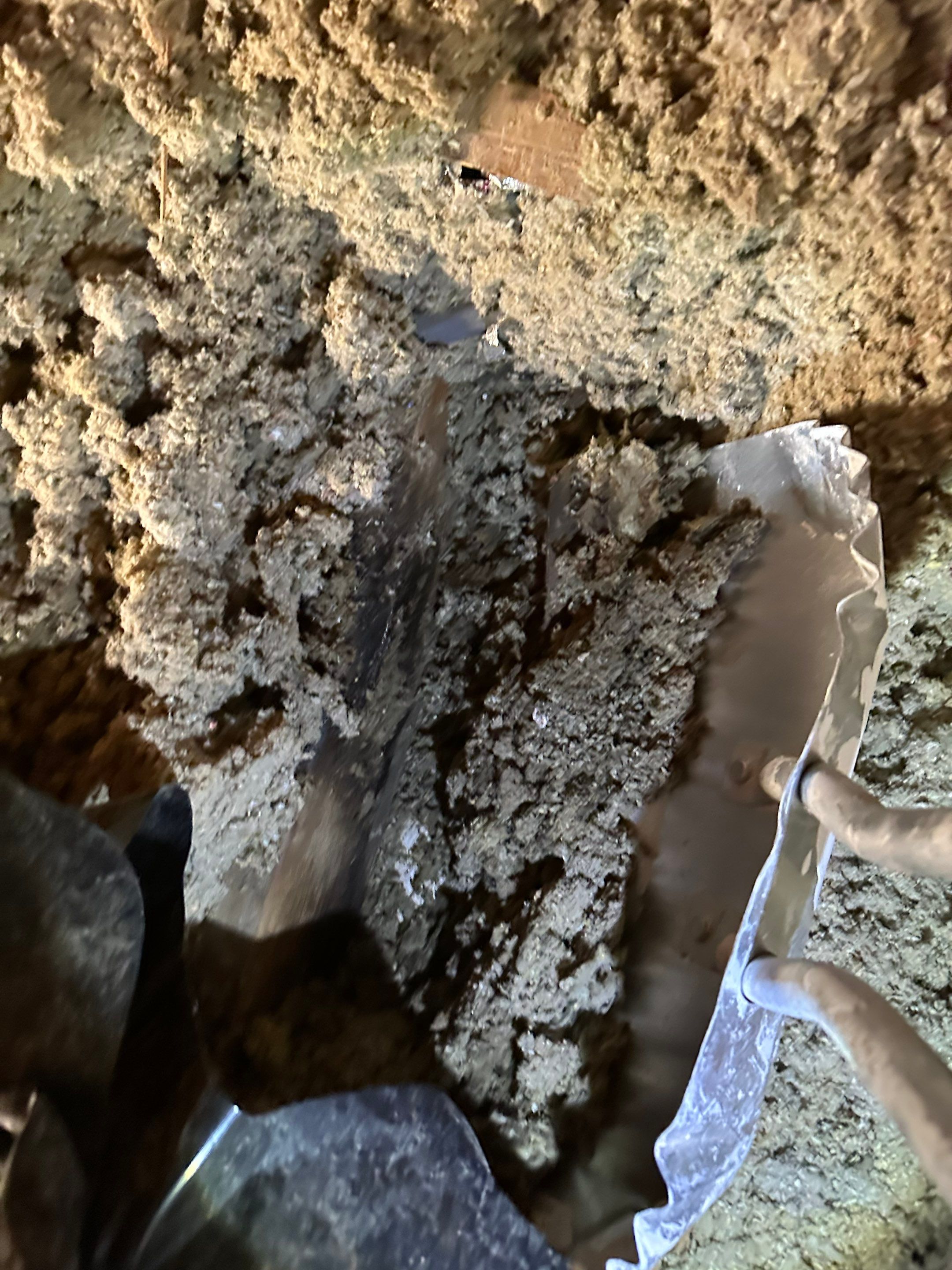 Mold in Crawl Space in Broomfiled, CO by Alpha Restoration 