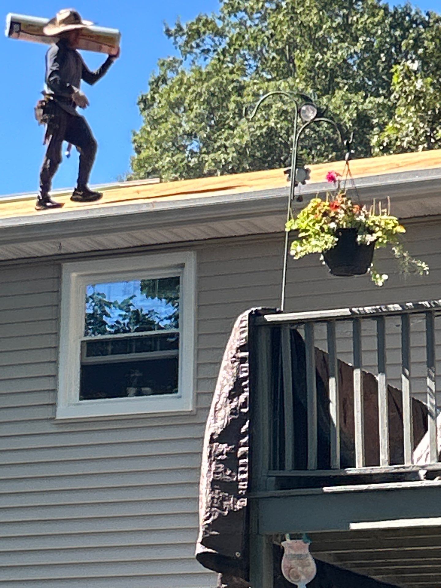 Cheshire by All site builders LLC
