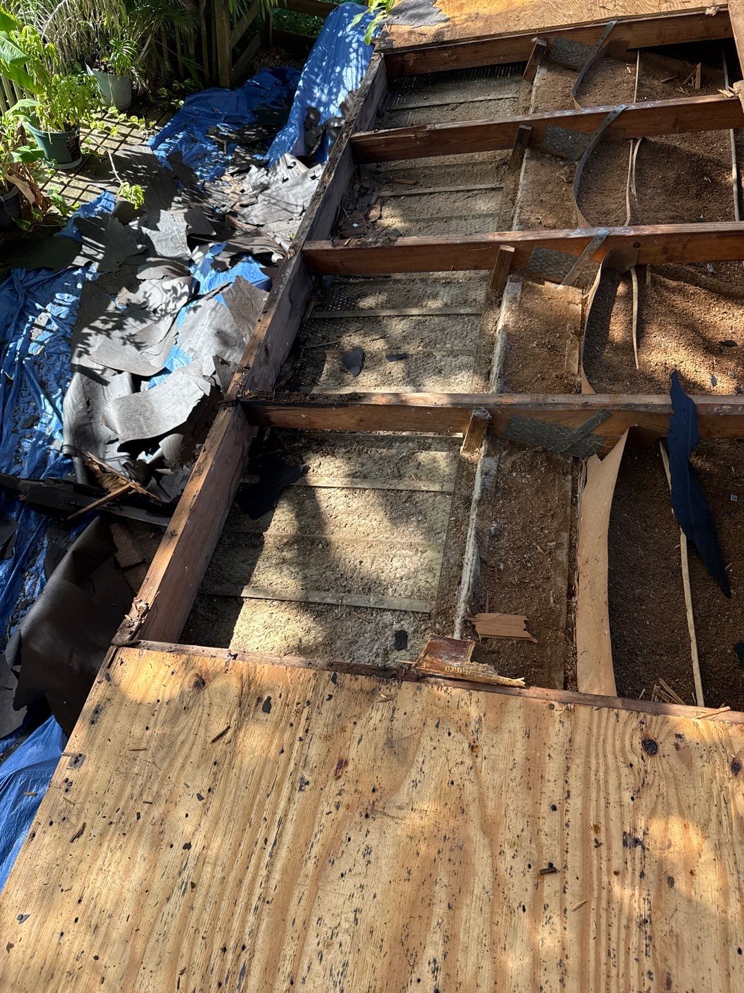 Project in Pinellas Park 33781 by Mitchell Roofing Company LLC 
