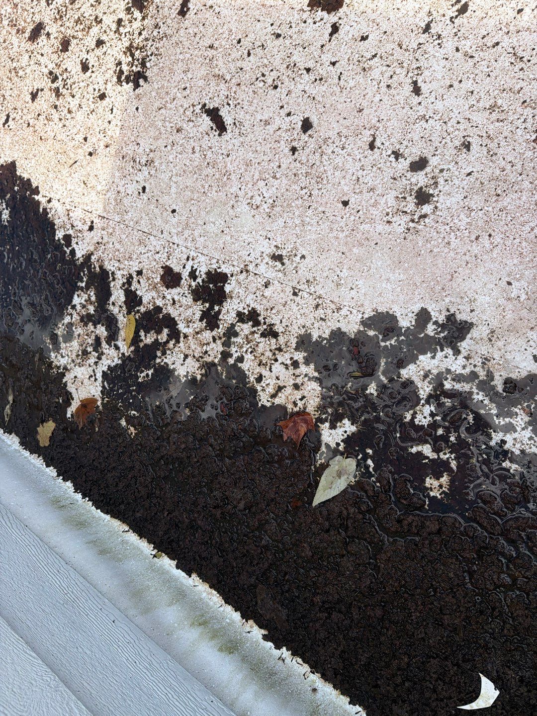 2610 Broadway St • Indianapolis, IN 46205 by 317 Roofing & Restorations