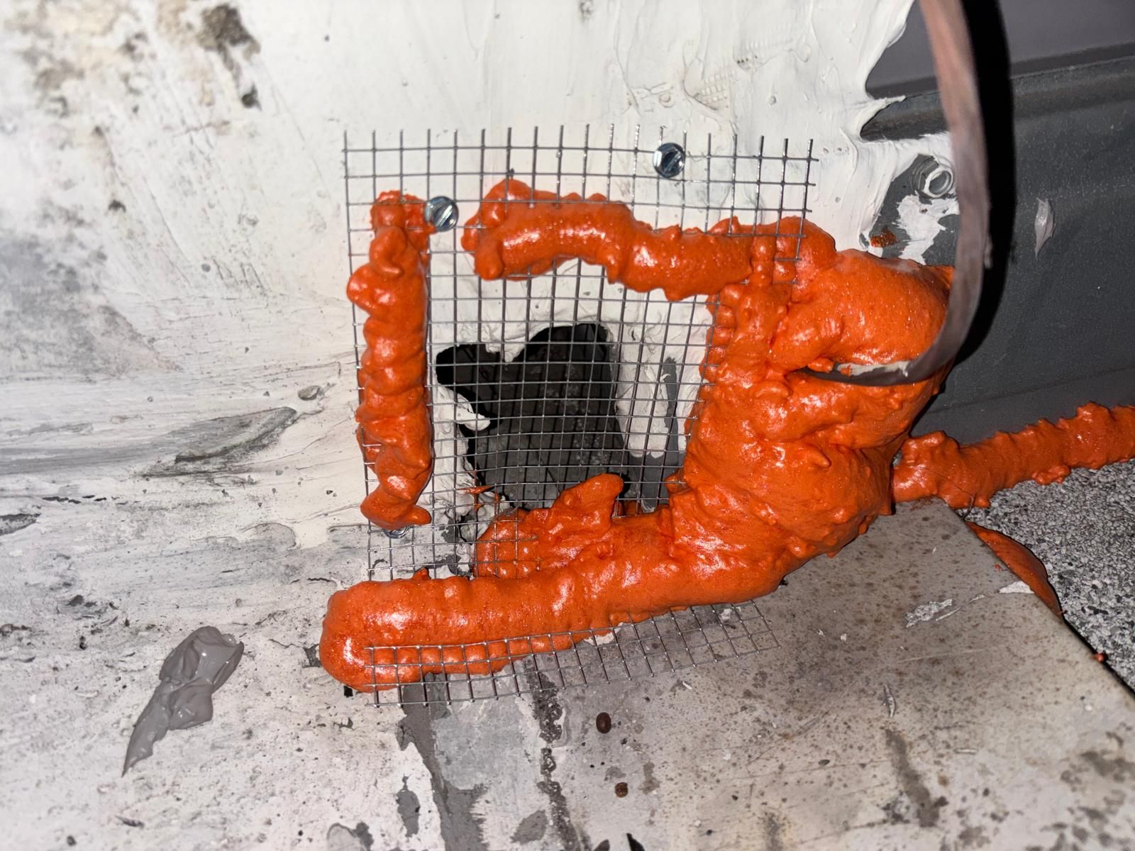 Project in Pomona by Insulation Labs