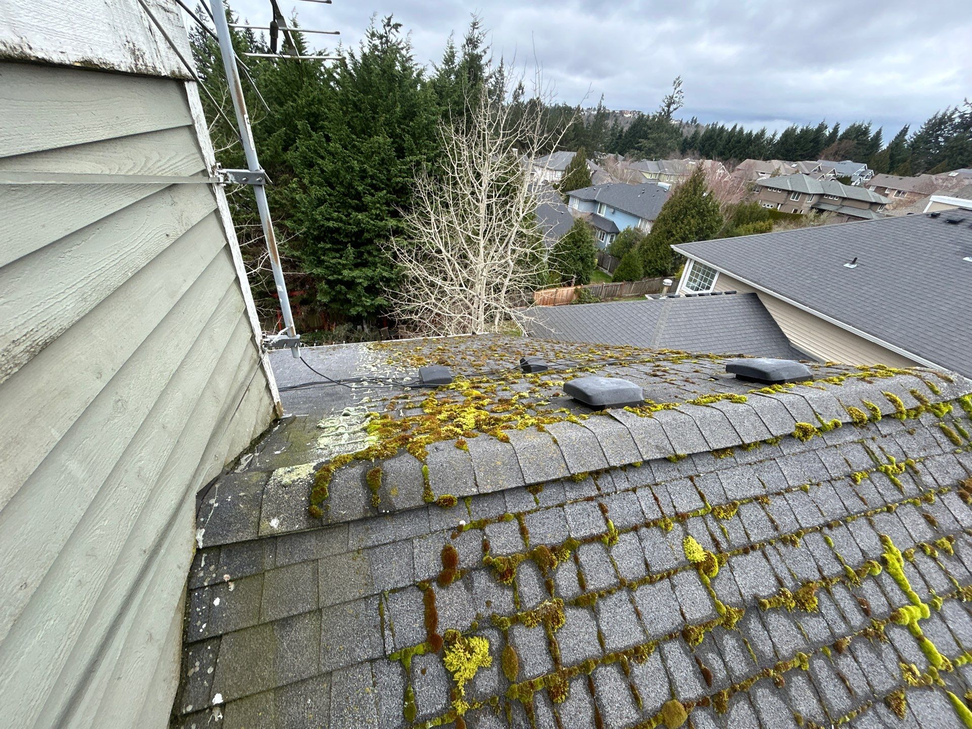 Project in Bellevue by Peaks and Valleys Construction