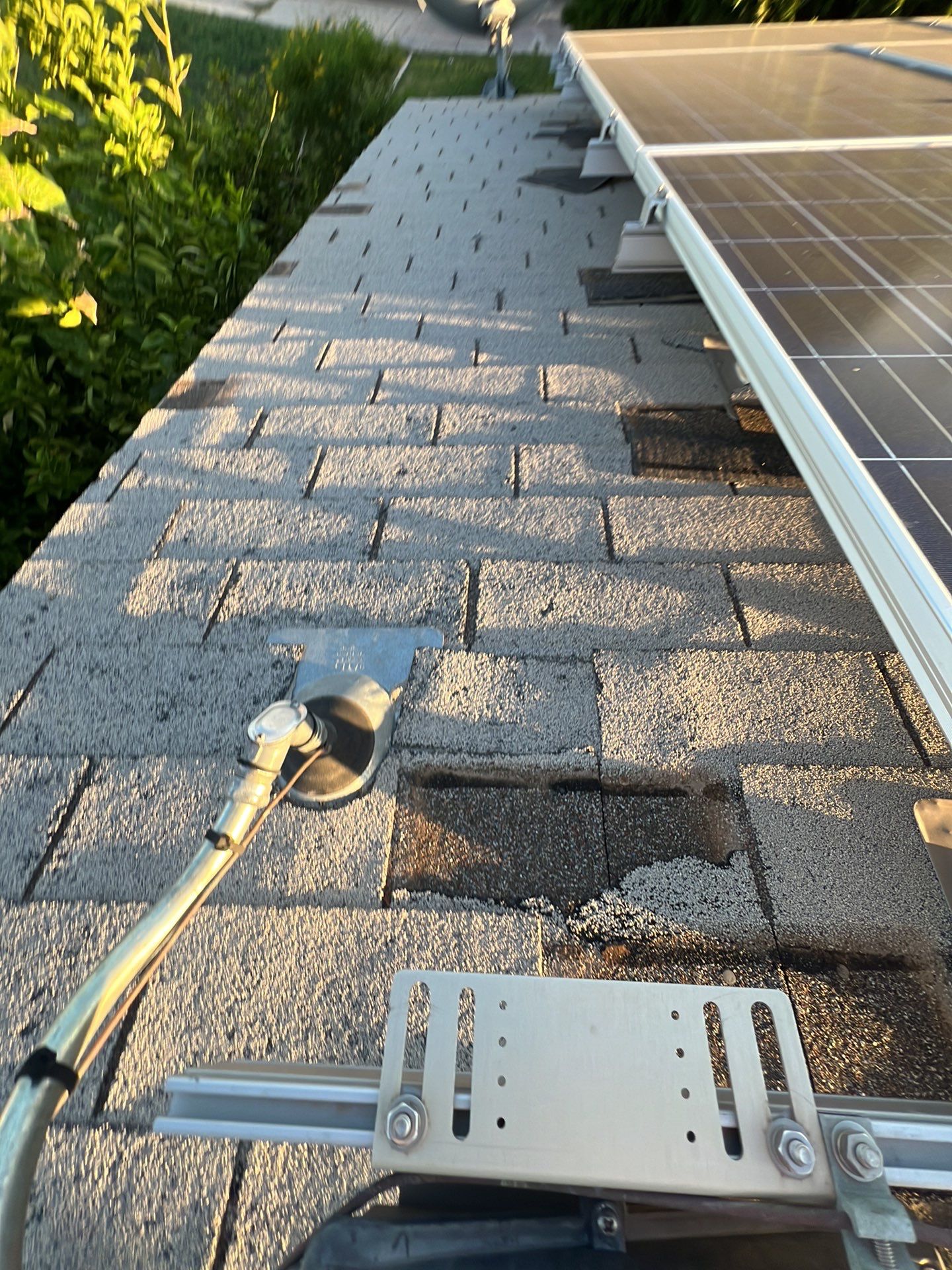 Birchwood Shingles by Reimagine Roofing