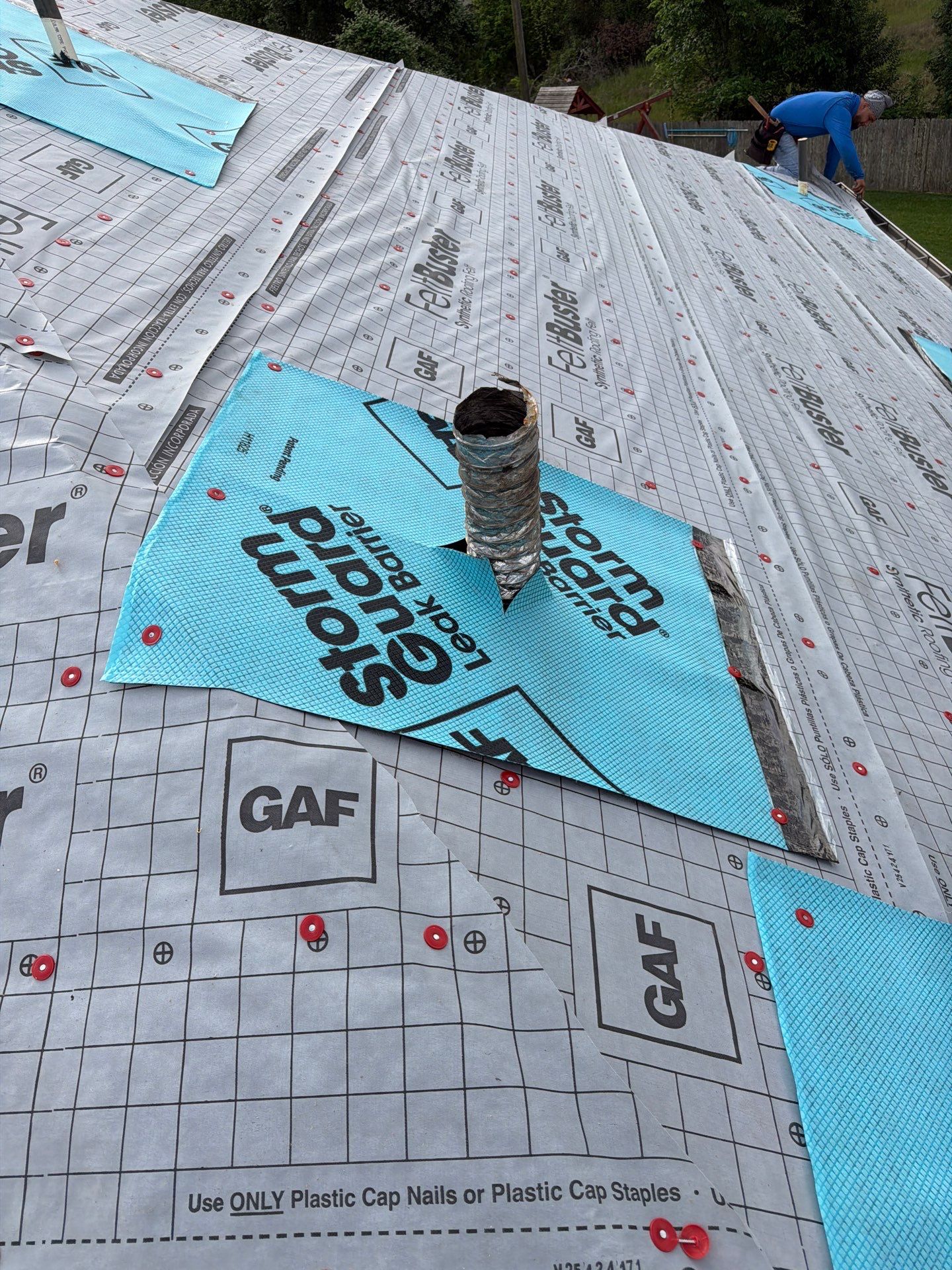 Jessica P. by Boss Hogg Roofing