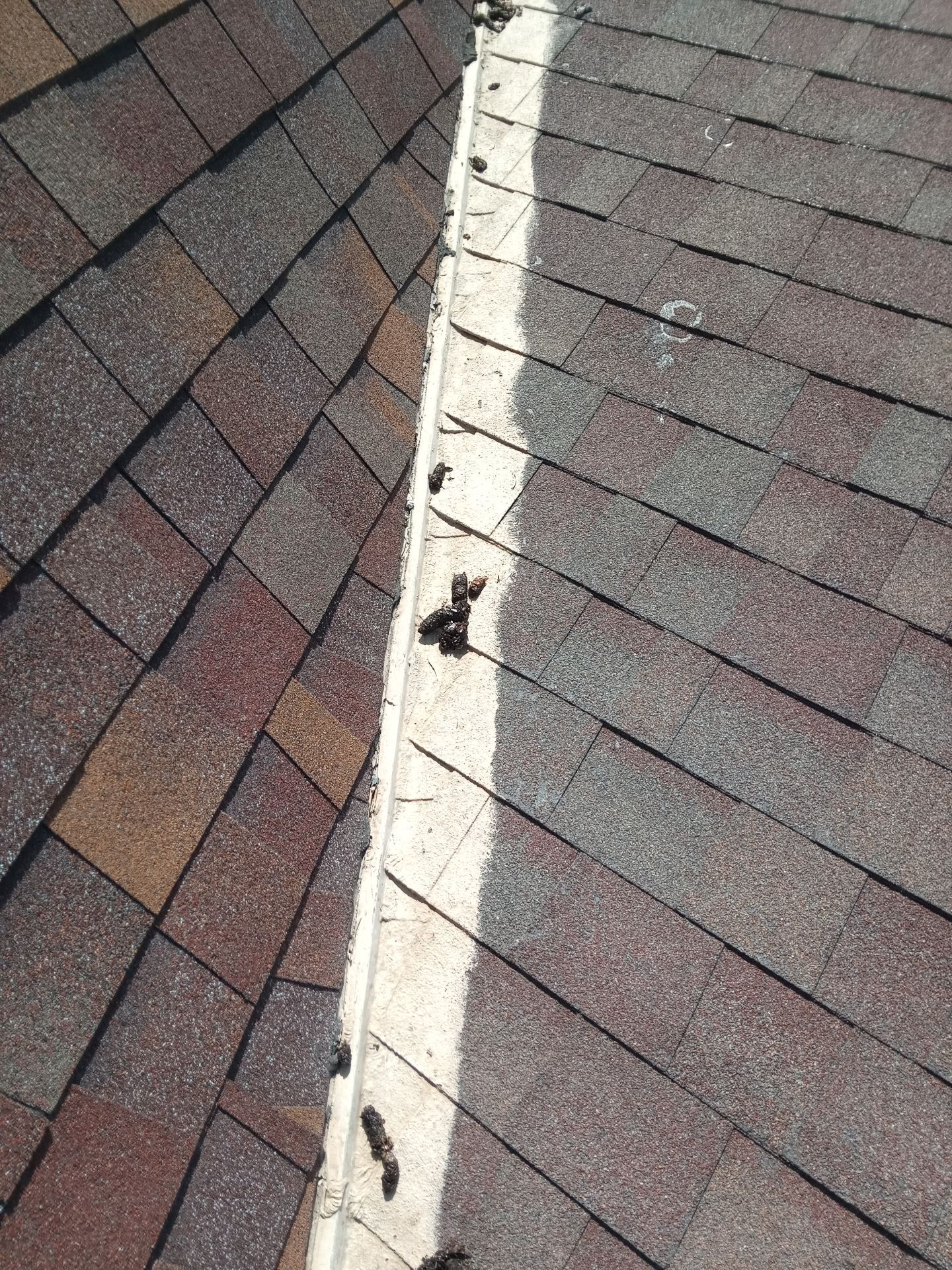 National Seashore New Roof by Bayfront Roofing and Construction