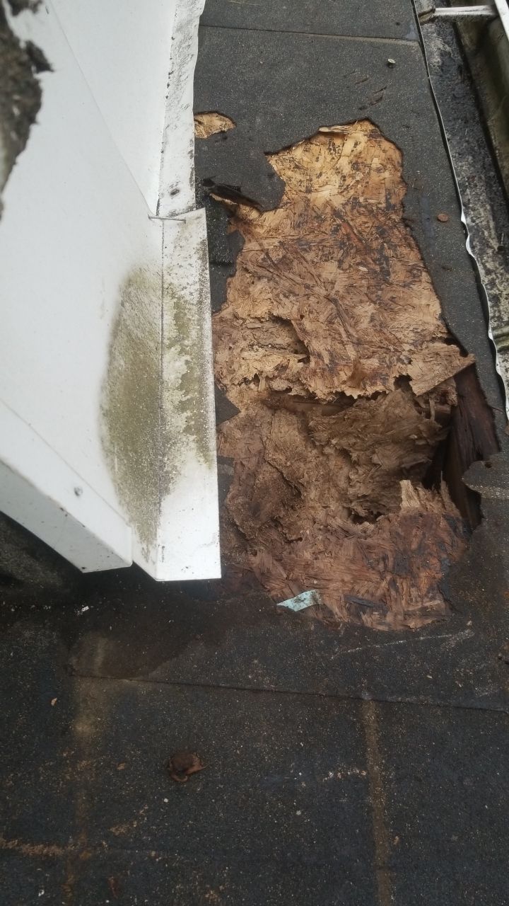 Lakewood Roof Install by Absolute Roofing and Construction