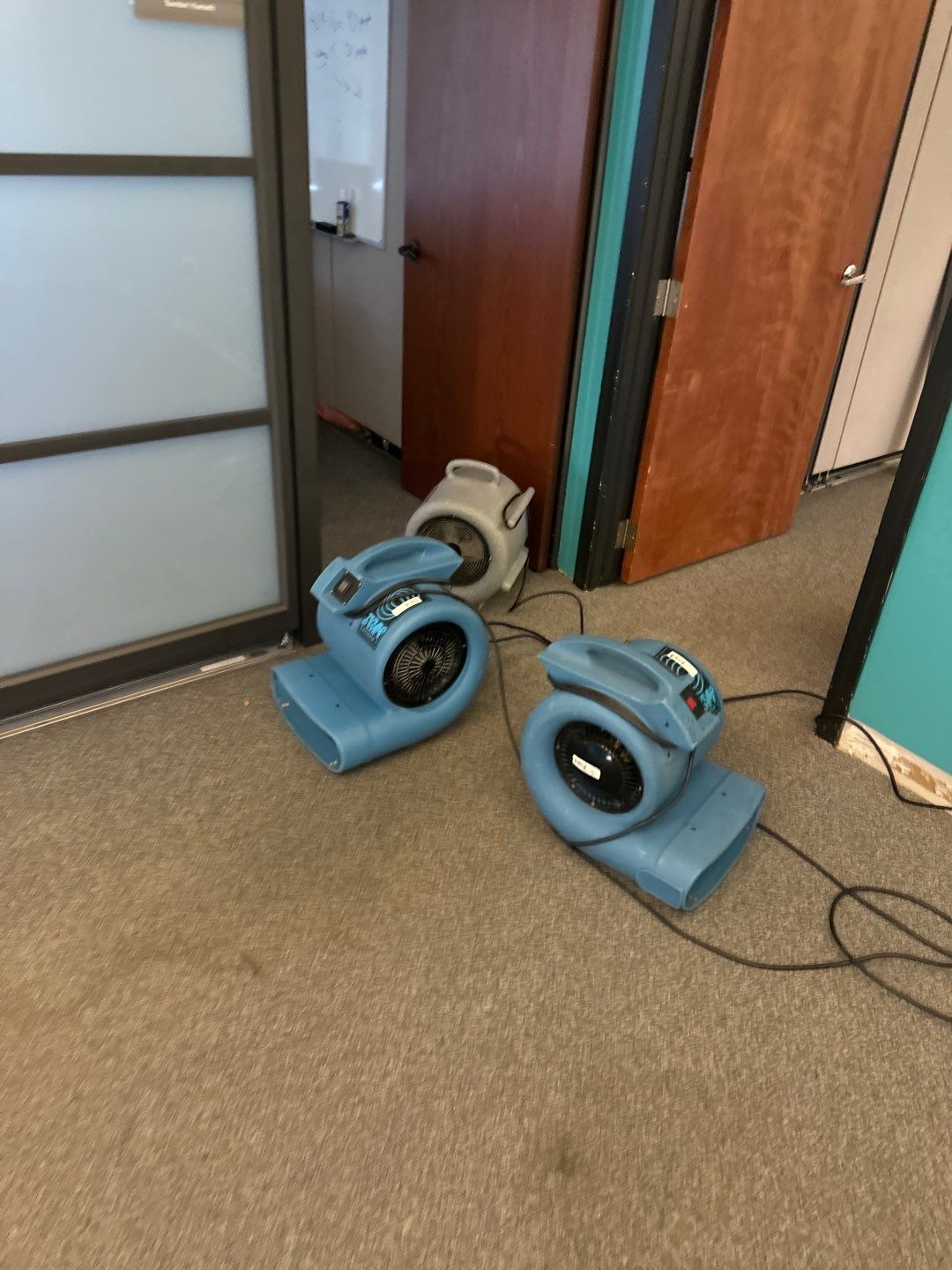 Project in Warren by EzDry Water Mitigation & Property Restoration