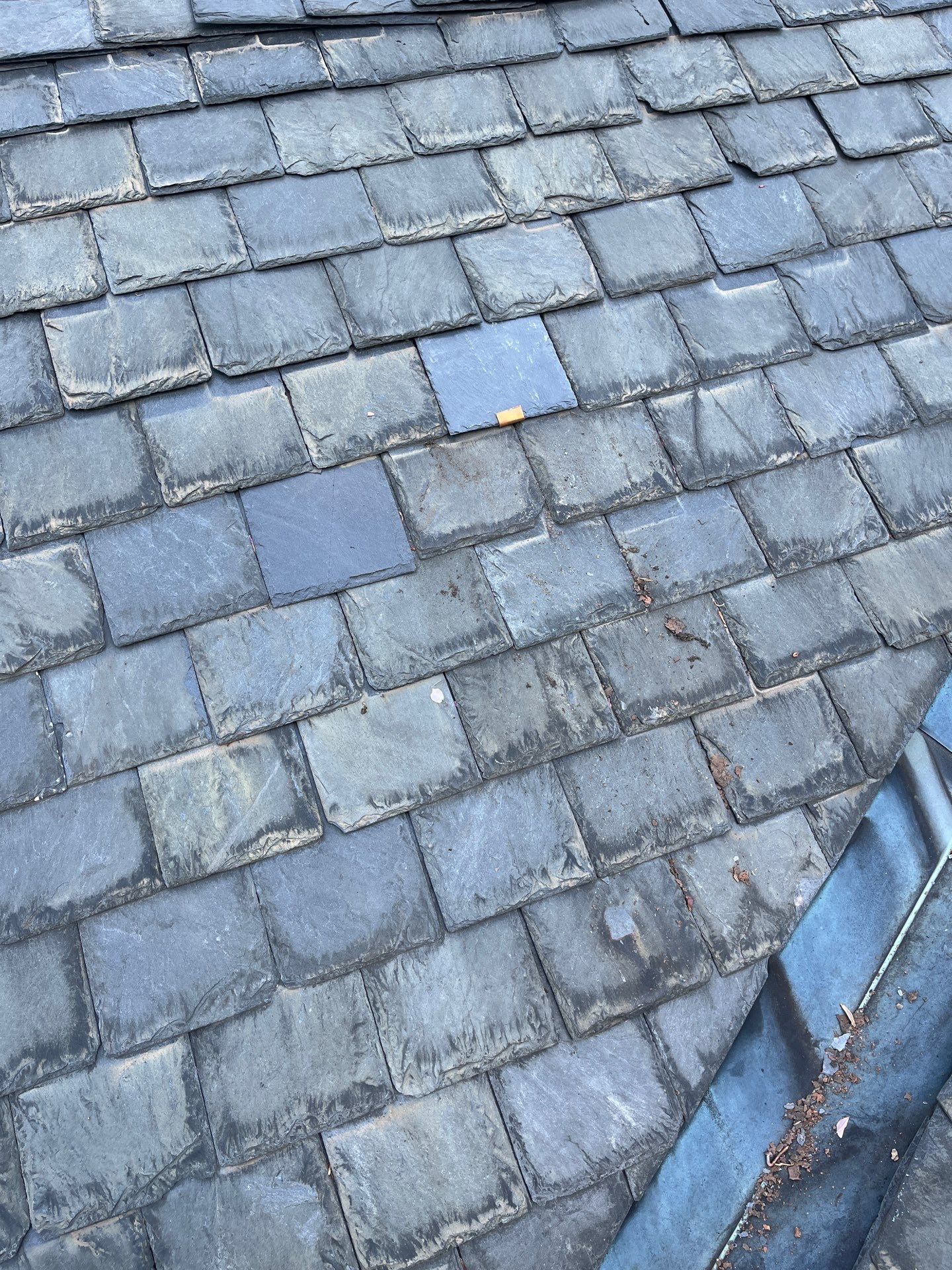 Arlington: Buckingham Slate and Carlisle Syntec TPO Roof by RM Banning, Inc.