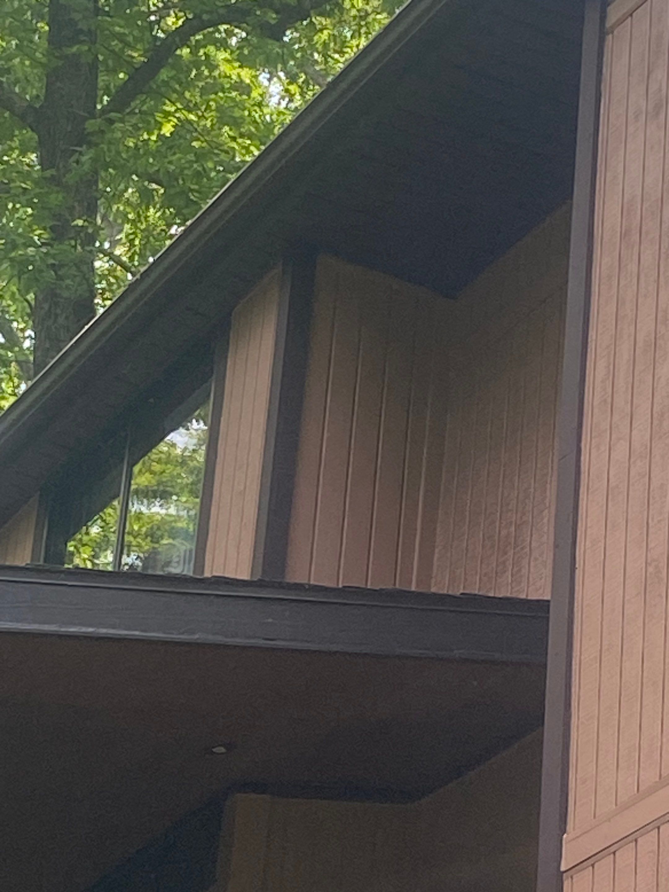 Woodbridge: T1-11 Pywood Panel Siding Installation by RM Banning, Inc.