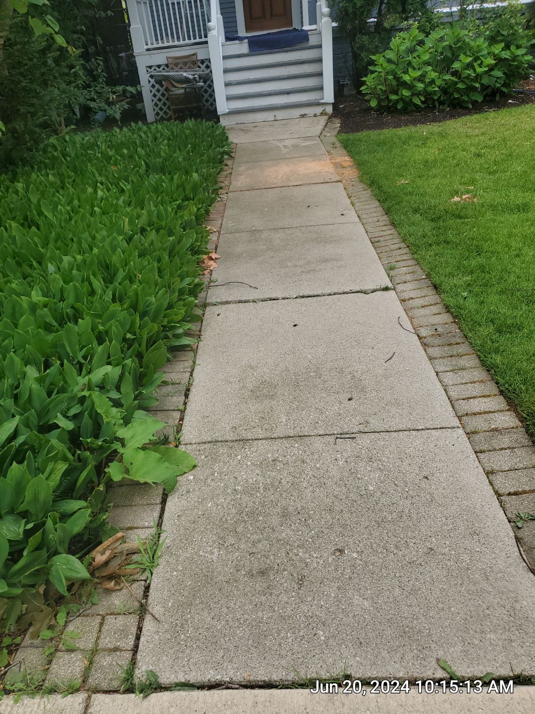 concrete cleaning using Algaecide, soft wash soap by Northern Power Washing LLC.