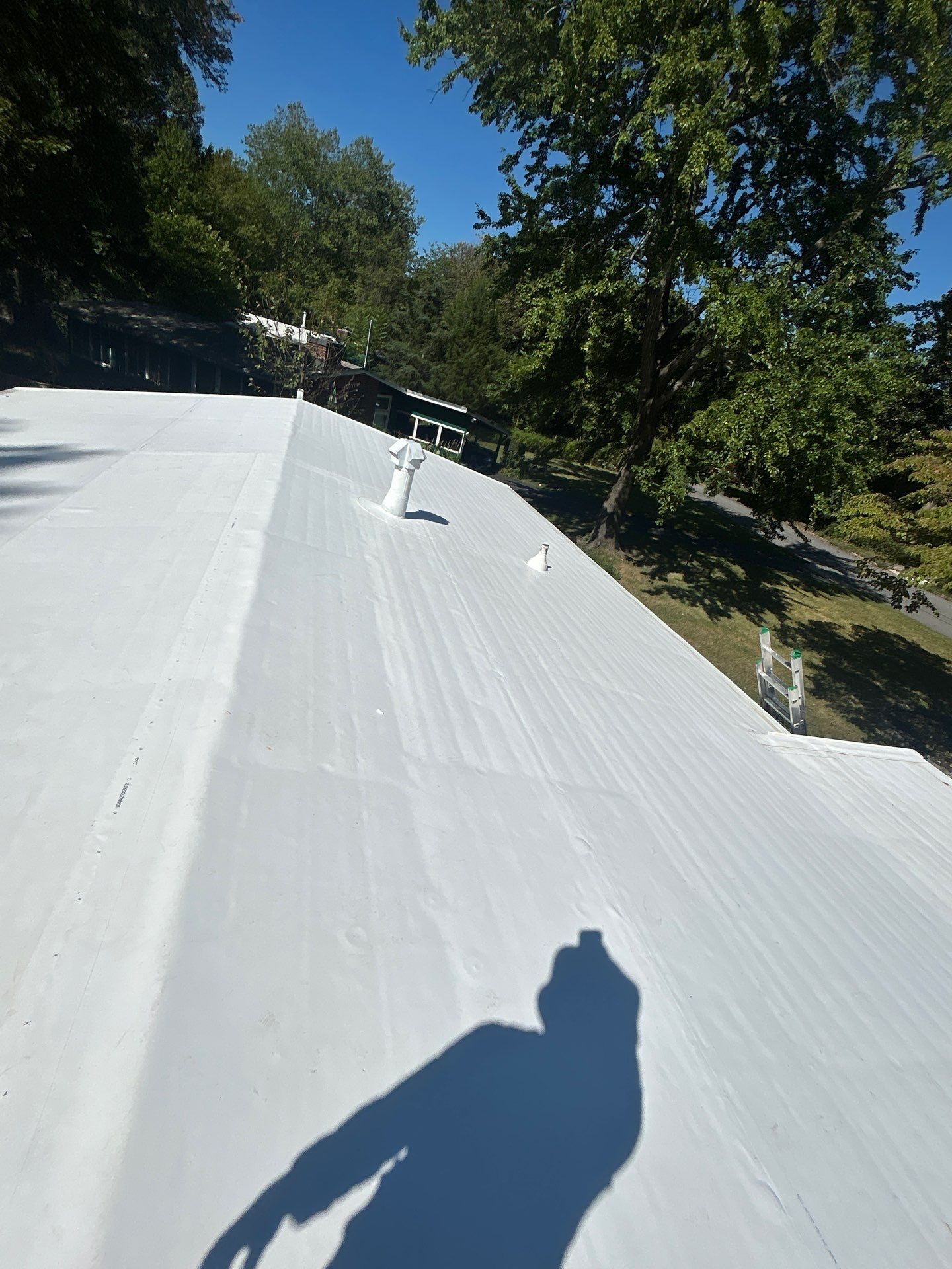 Falls Church :  TPO by RM Banning, Inc.