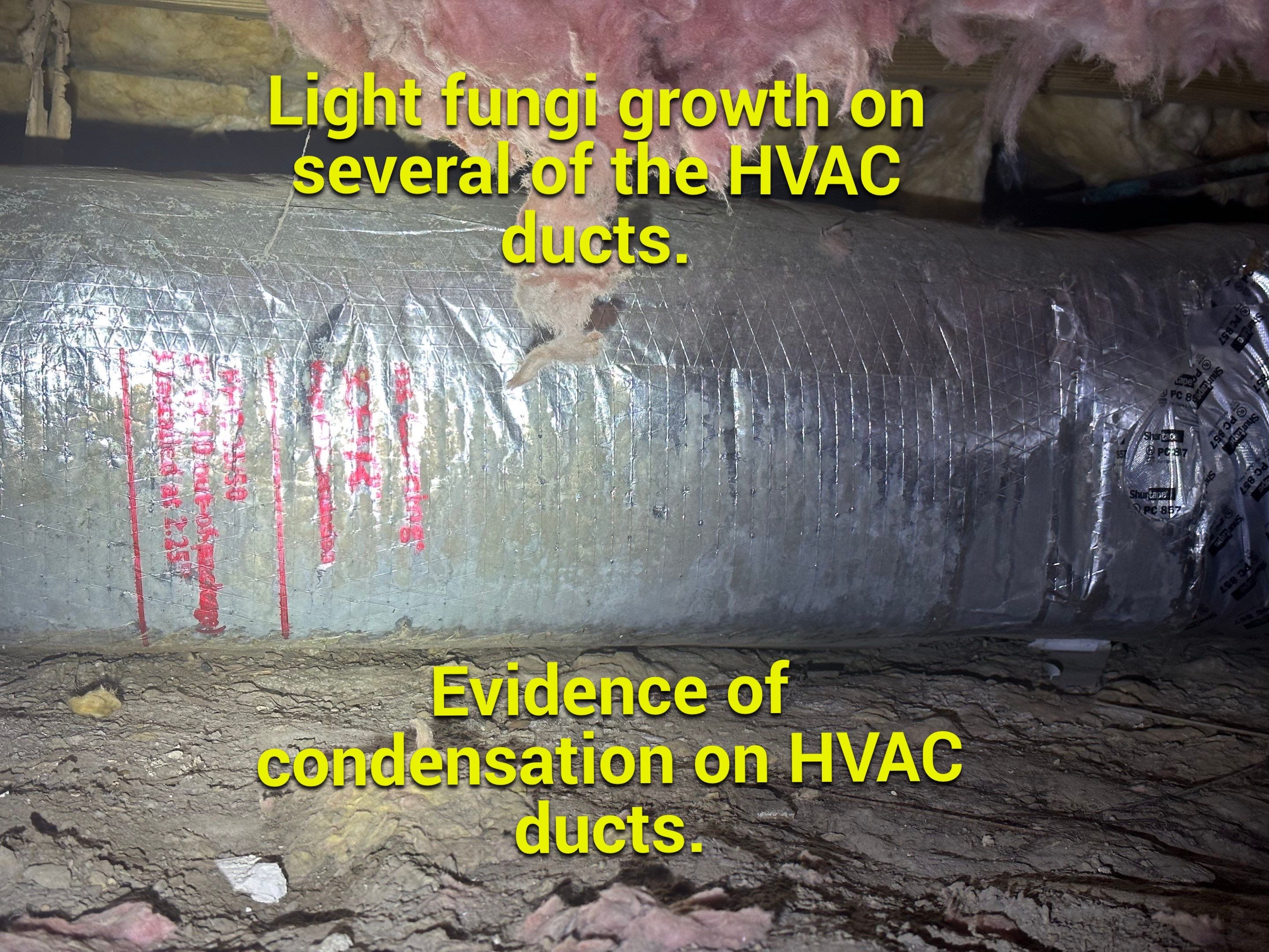 Impact Choice Encapsulation on a low crawlspace. by Impact Crawlspace