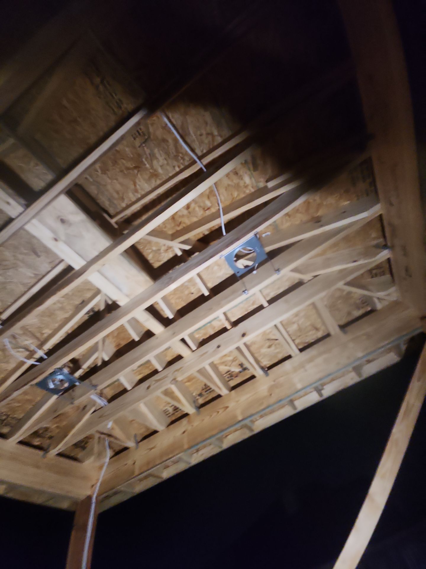 The Gillespie Family by SophAlx LLC