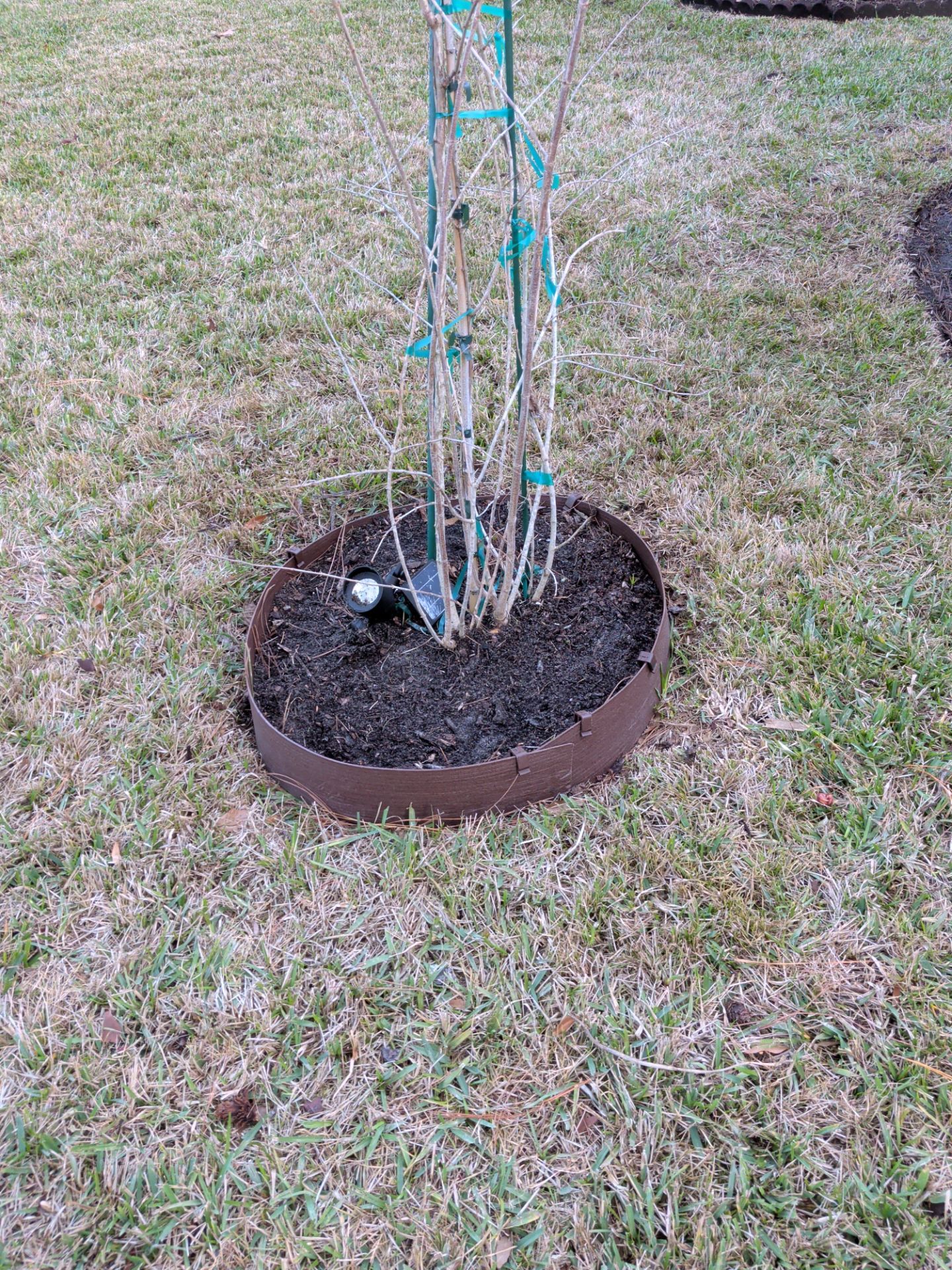 Flower Bed Cleanup & Mulch Preparation — Jacksonville Beach by Harmoni Home Services