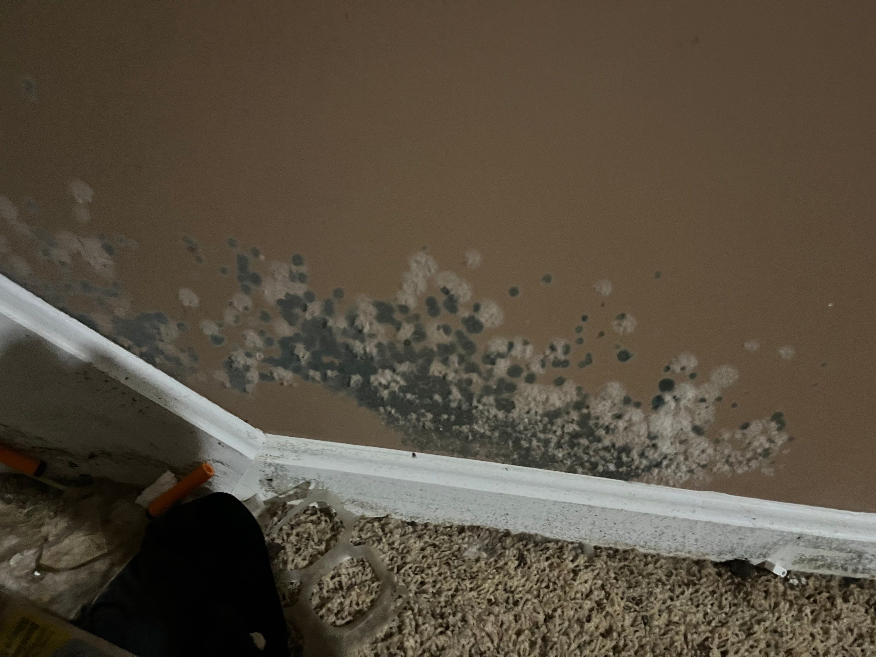 Flood Cut Mitigation by ANR Restoration