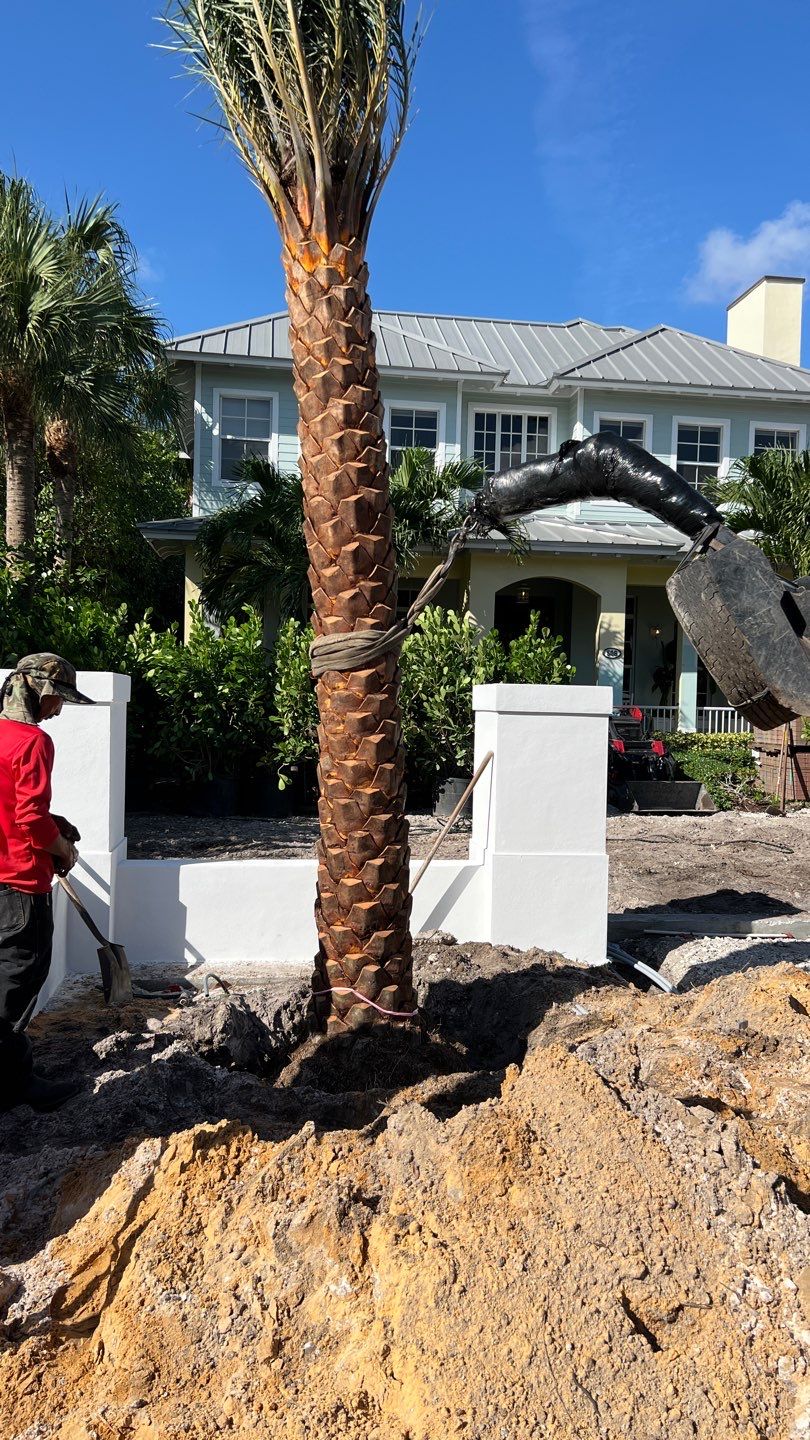 Hazard  by The Landscaping People