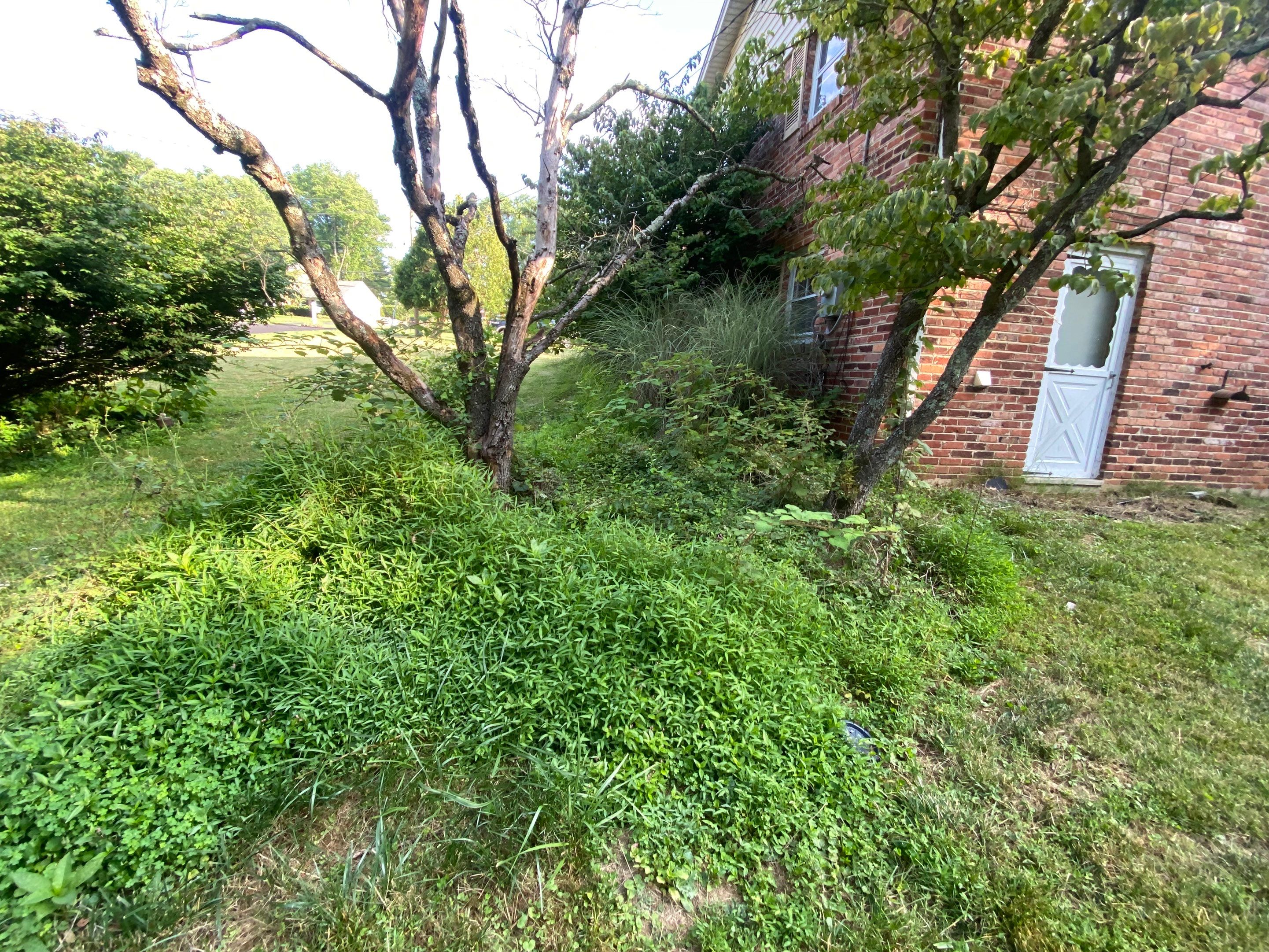 Landscape cleanup by The Smet Companies, LLC