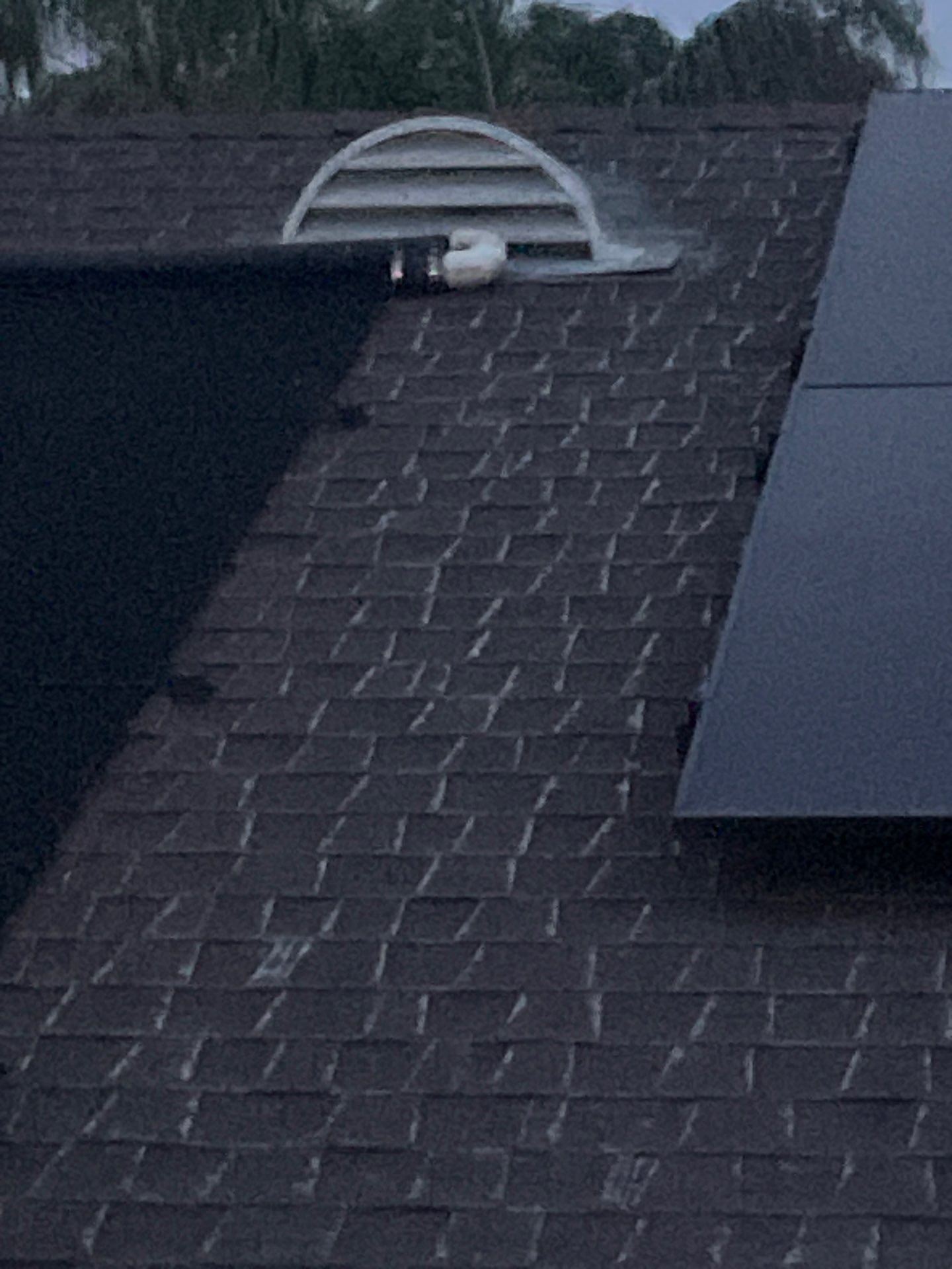 Roof Rejuvenation using Roof Maxx Treatment by Roof Maxx of Folsom