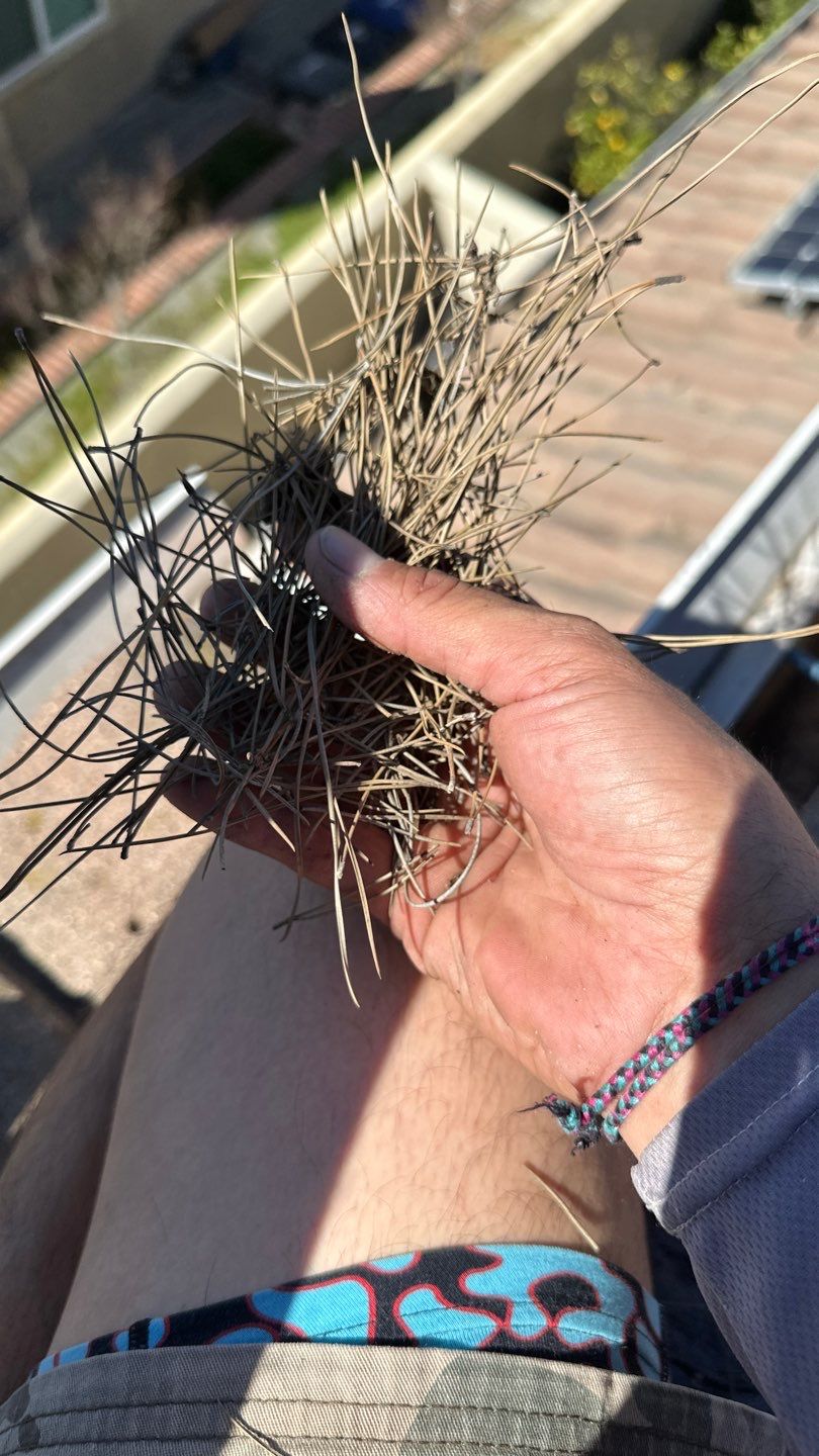 Coto De Caza Gutter Cleaning by Property Cleaning Experts