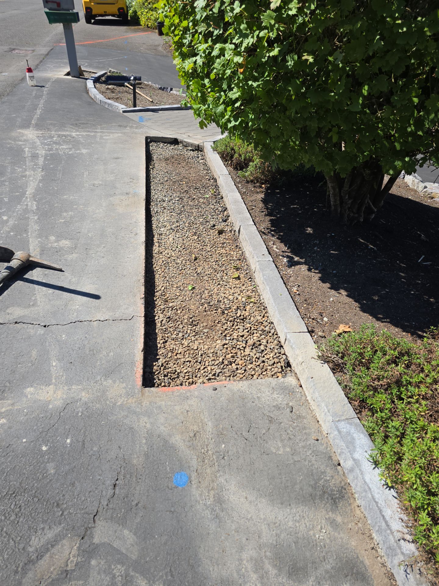 Sealcoat & Crack Fill Driveway Repair | Mukilteo  by Jireh Asphalt & Concrete Inc 