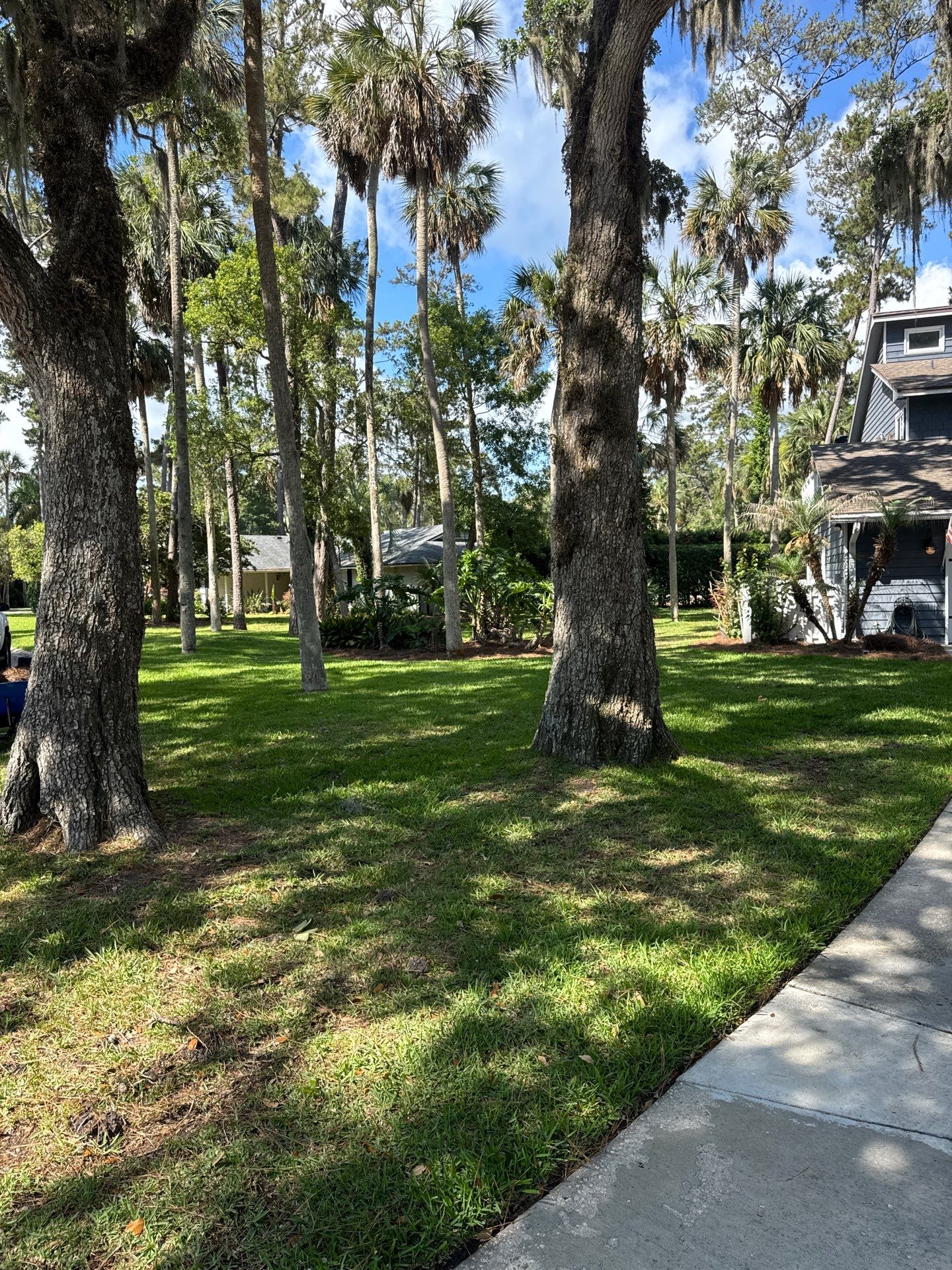 Residential | Pine Straw Install by ProGreen Services