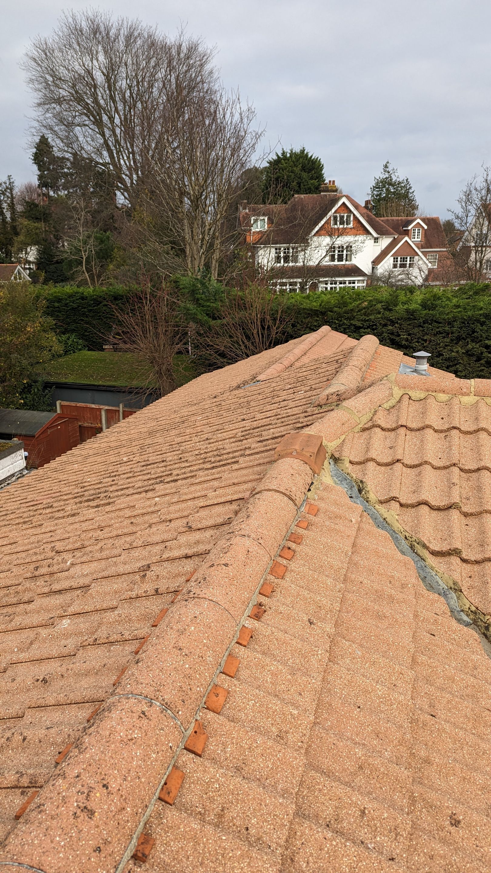 Roof and Driveway Clean using Honda 15lpm Low Pressure Washing Machine by Ges Exterior Cleaning ltd