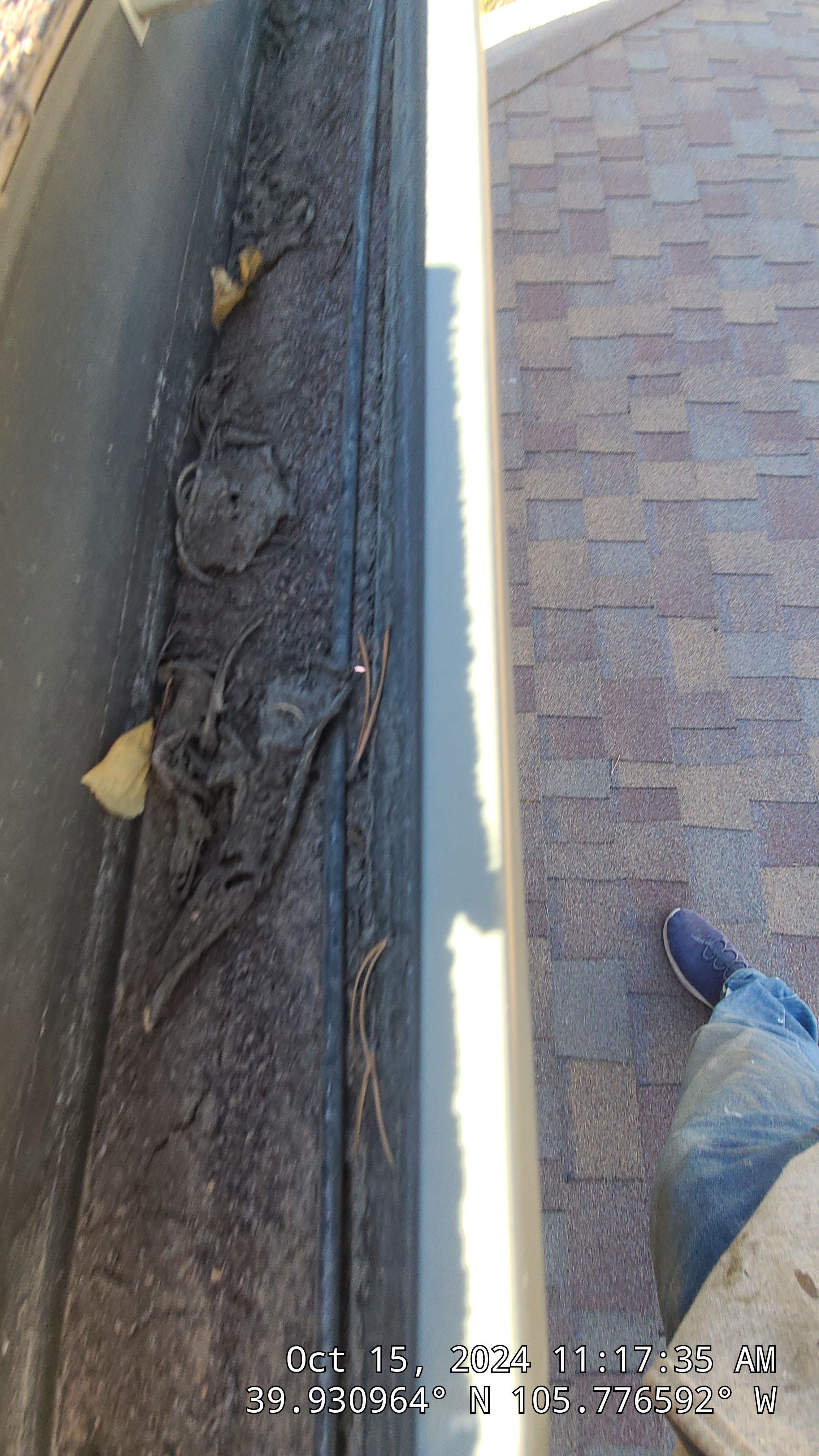 Gutter Cleaning by Wheatley Creek Services