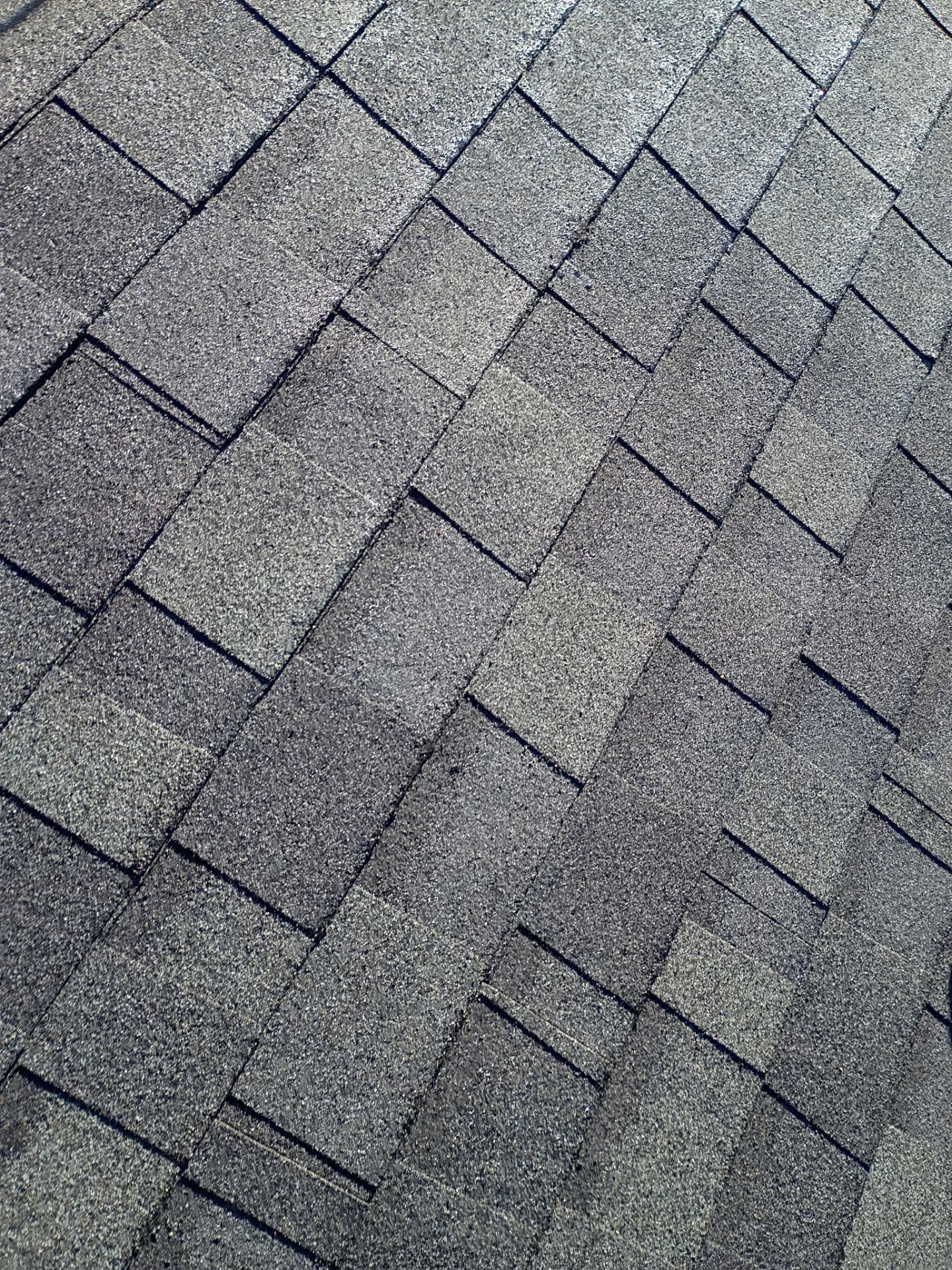 Asphalt Reroof in Gainesville, FL by Brehm Roofing
