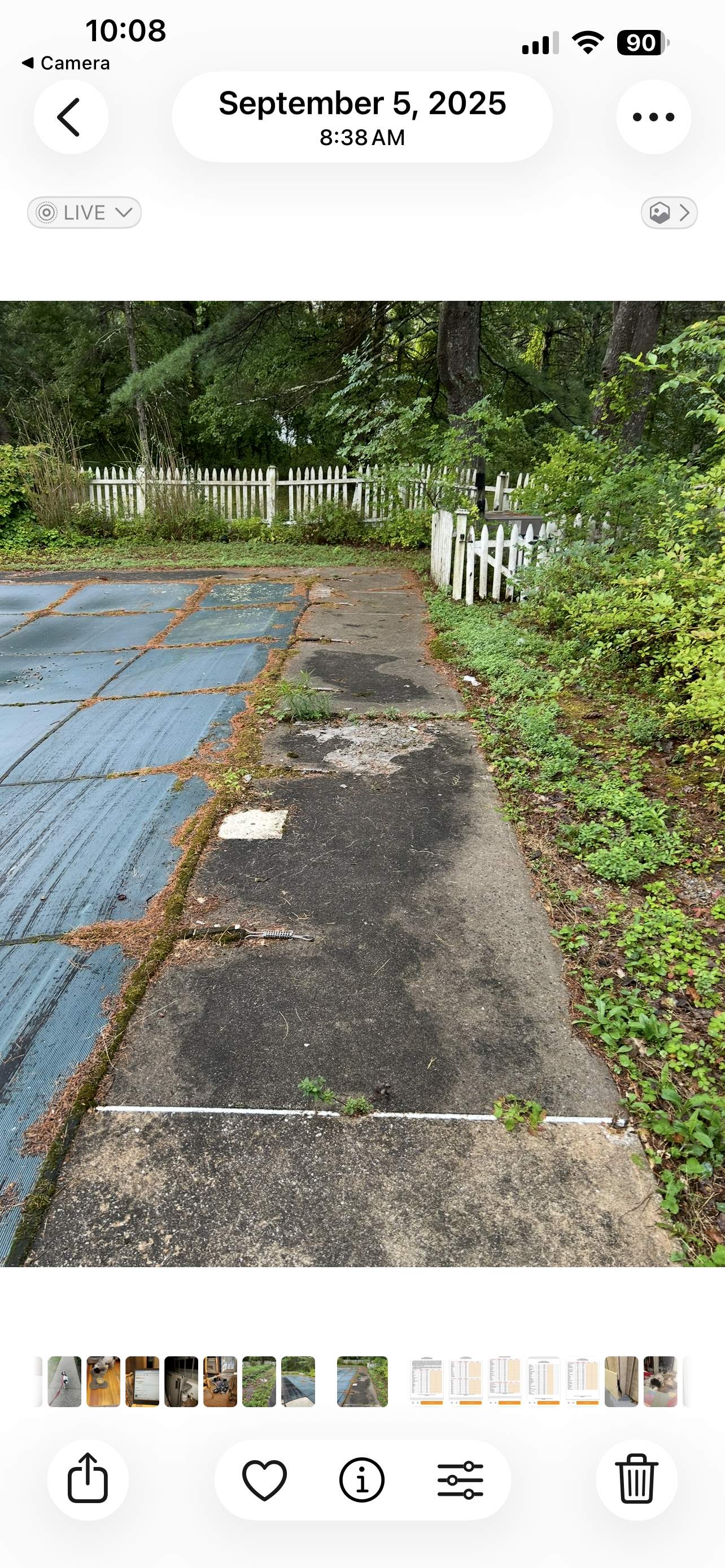 In-Ground Swimming Pool Renovation and Concrete Decking in Old Chatham by Cypress Pools and Spas