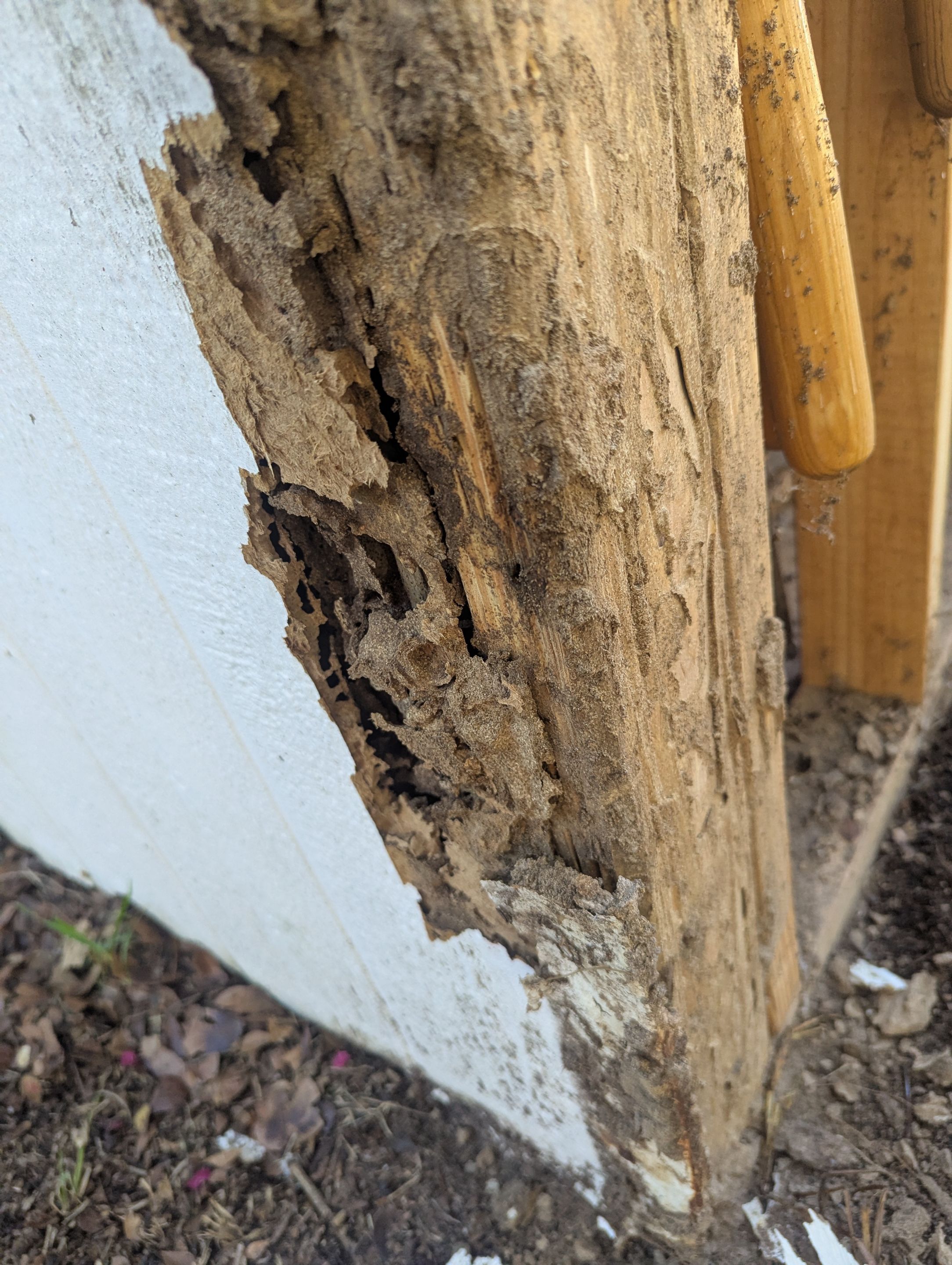 Fresh Paint, Fresh Look: Exterior Makeover in Mineola, TX by Quality Coats Painting