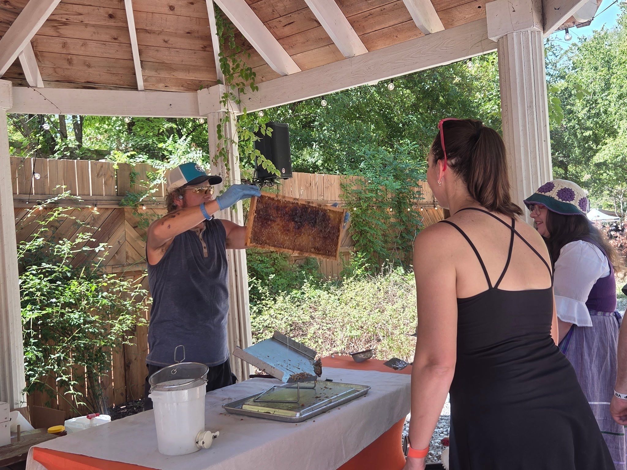 Texas Mead & Music Festival by Rockwall Honey Bee Company