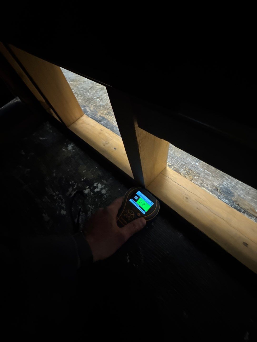 Project in Royal Oak by EzDry Water Mitigation & Property Restoration