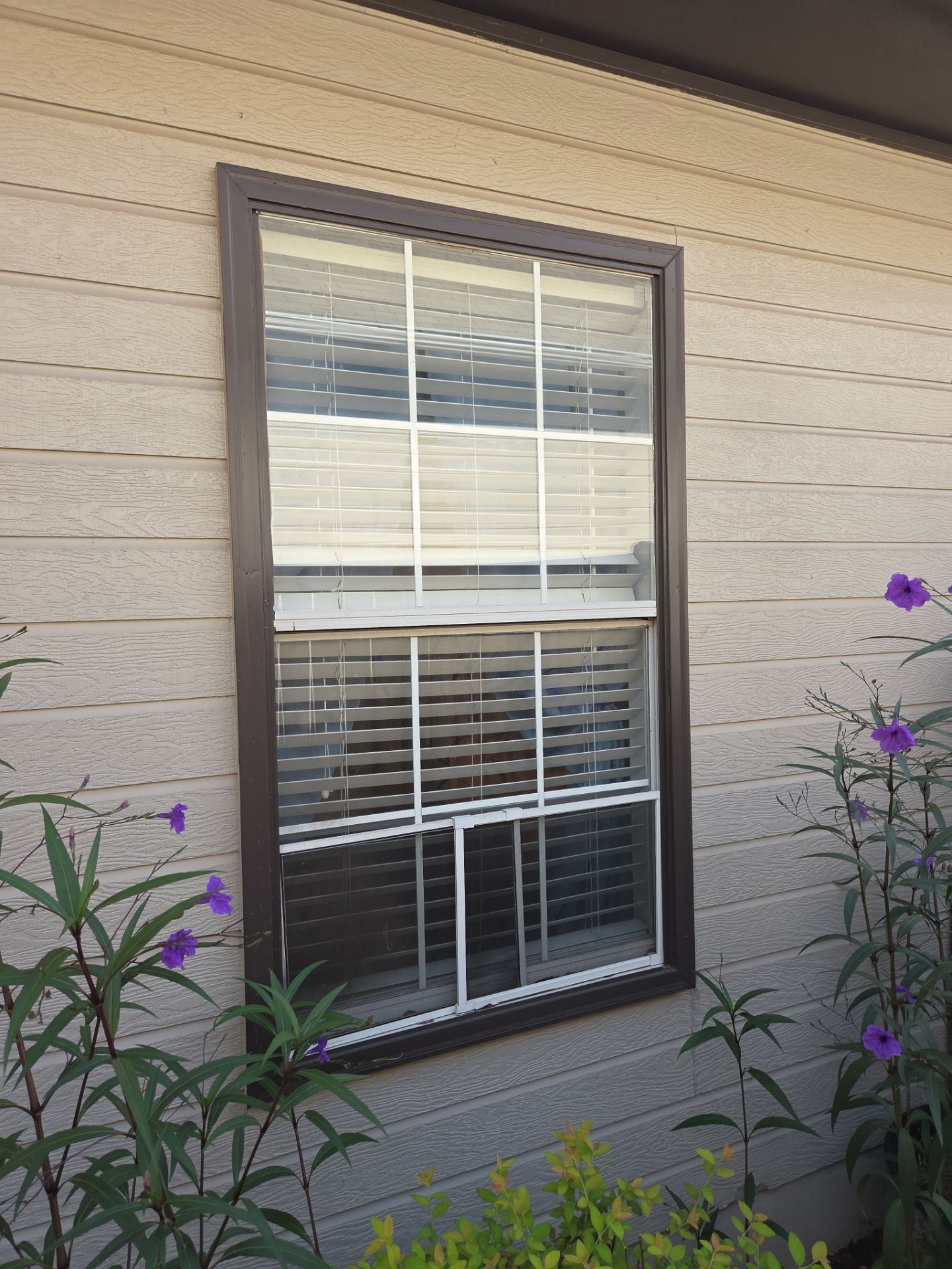 Woodham Project in Helena by The Window Source