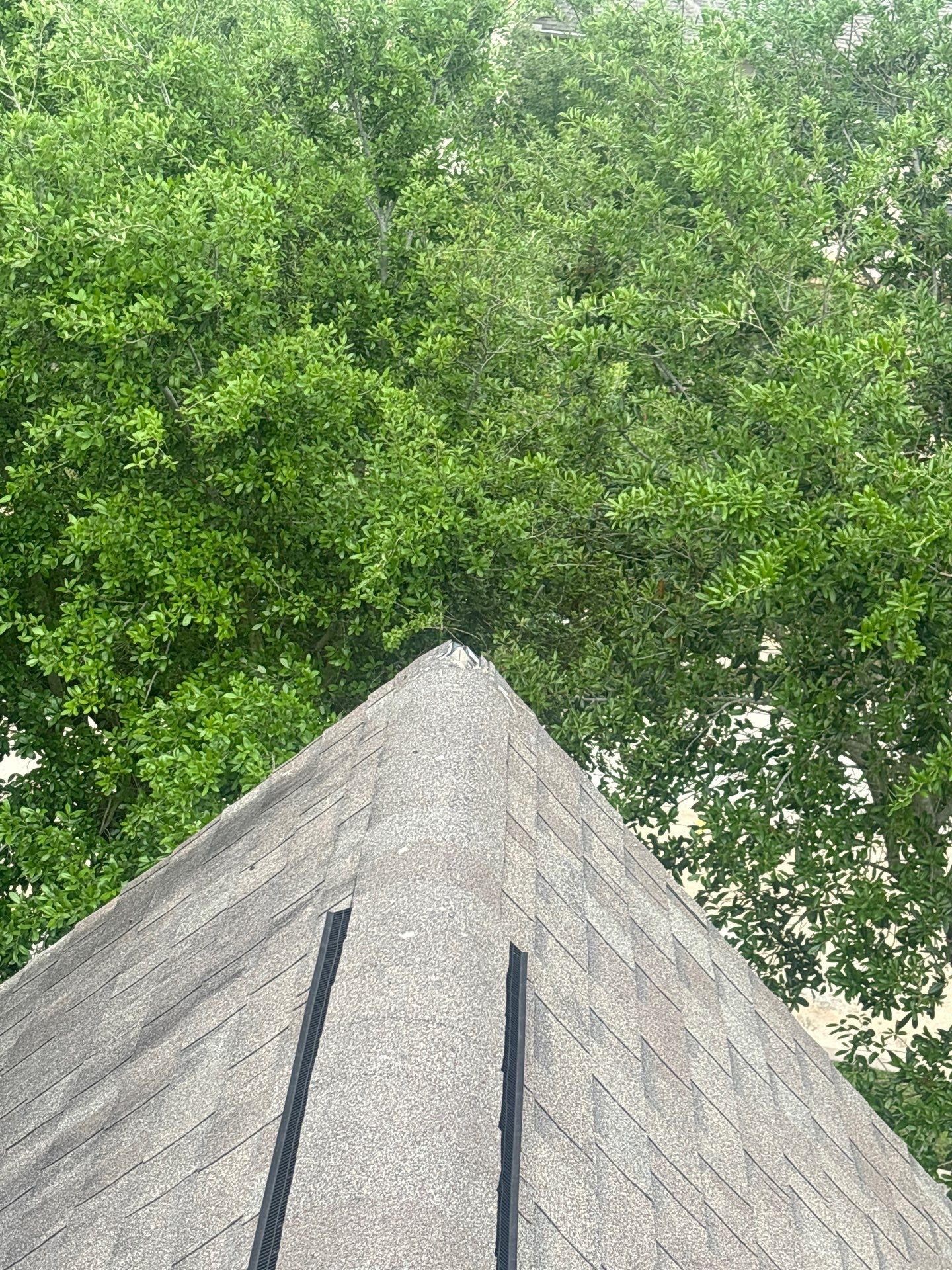 Roof Repair Richmond by Roof Repair Company