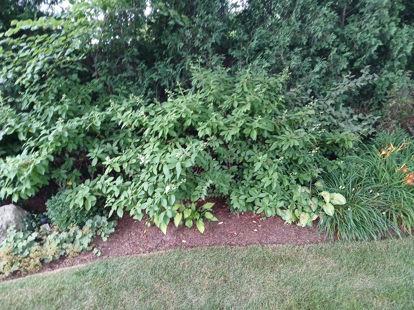 Michael I. - Glenview, IL by A&N 