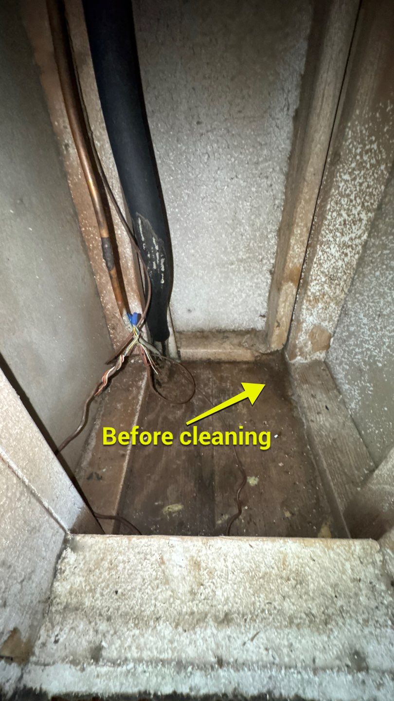 Extremely Dirty Air Duct Cleaning in Fruitland Park by Hygienic Air, Inc