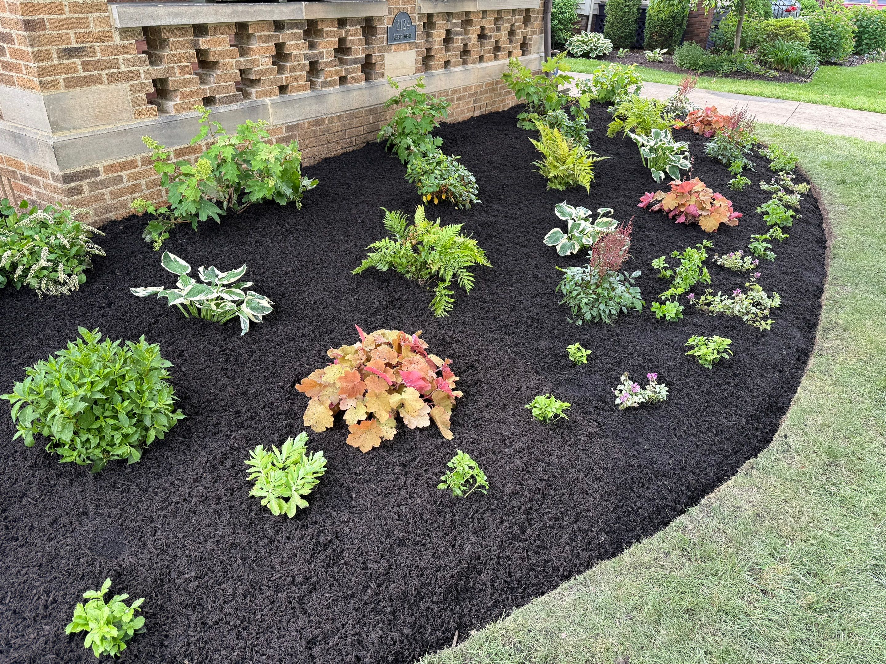 Historic Arthur Project by Elm Rose Gardens