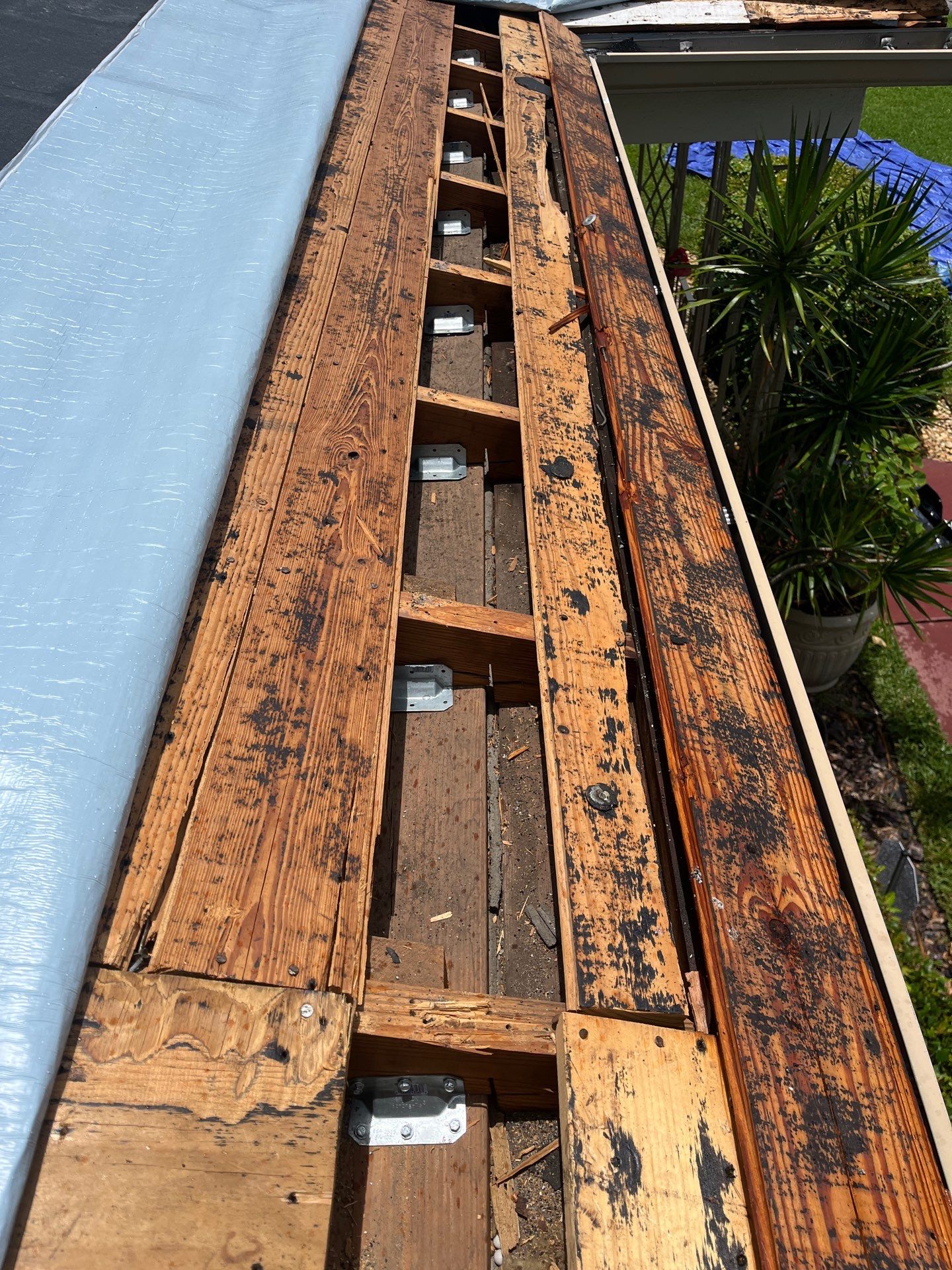 Project in St. Petersburg 33711 by Mitchell Roofing Company LLC 