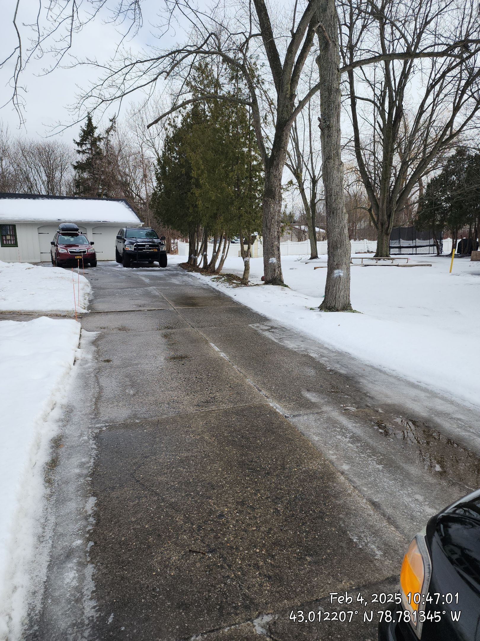 Tree Removal: Future Drive install by Treeman Tom LLC