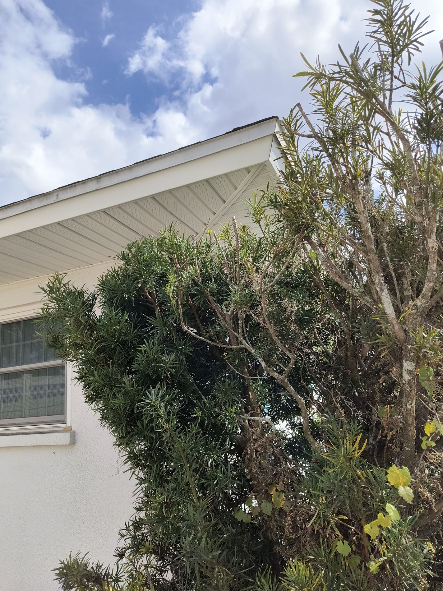 Soffit and Fascia Installation using White Soffit in Sarasota Fl by Gutter Professors
