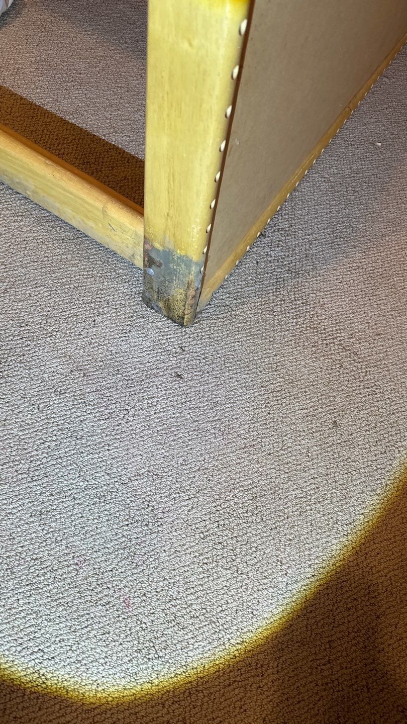 Mold Project in Englewood by Accountable Home Services