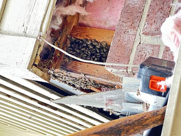 Between Floors by Rockwall Honey Bee Company