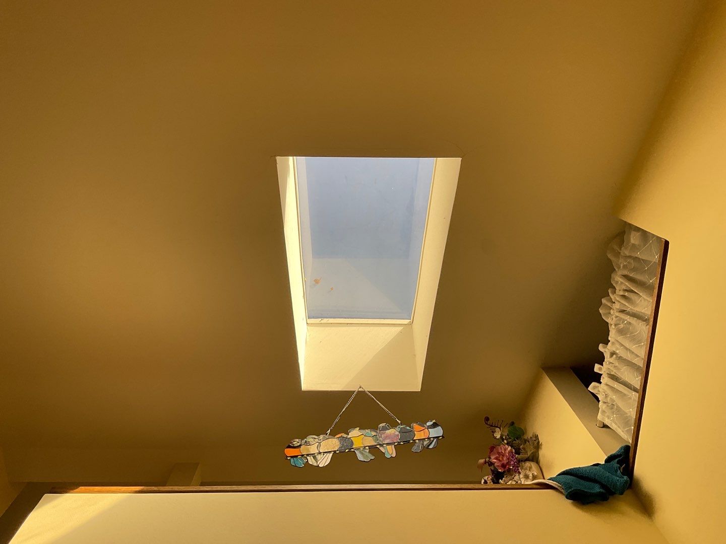 Install new shingles and new skylights  by Alpha Design Services