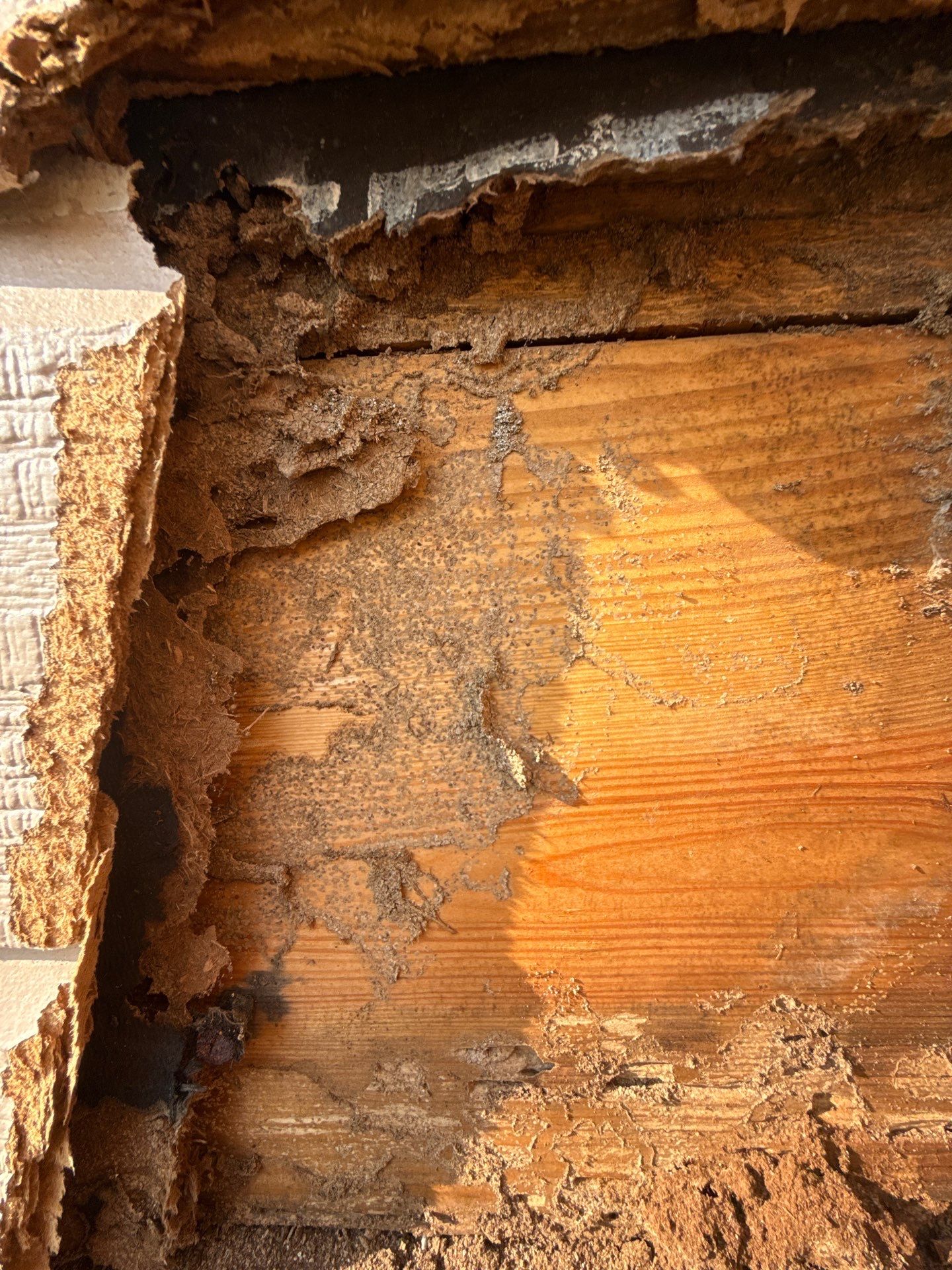 Rot Repair  by Karcher Roofing & Construction